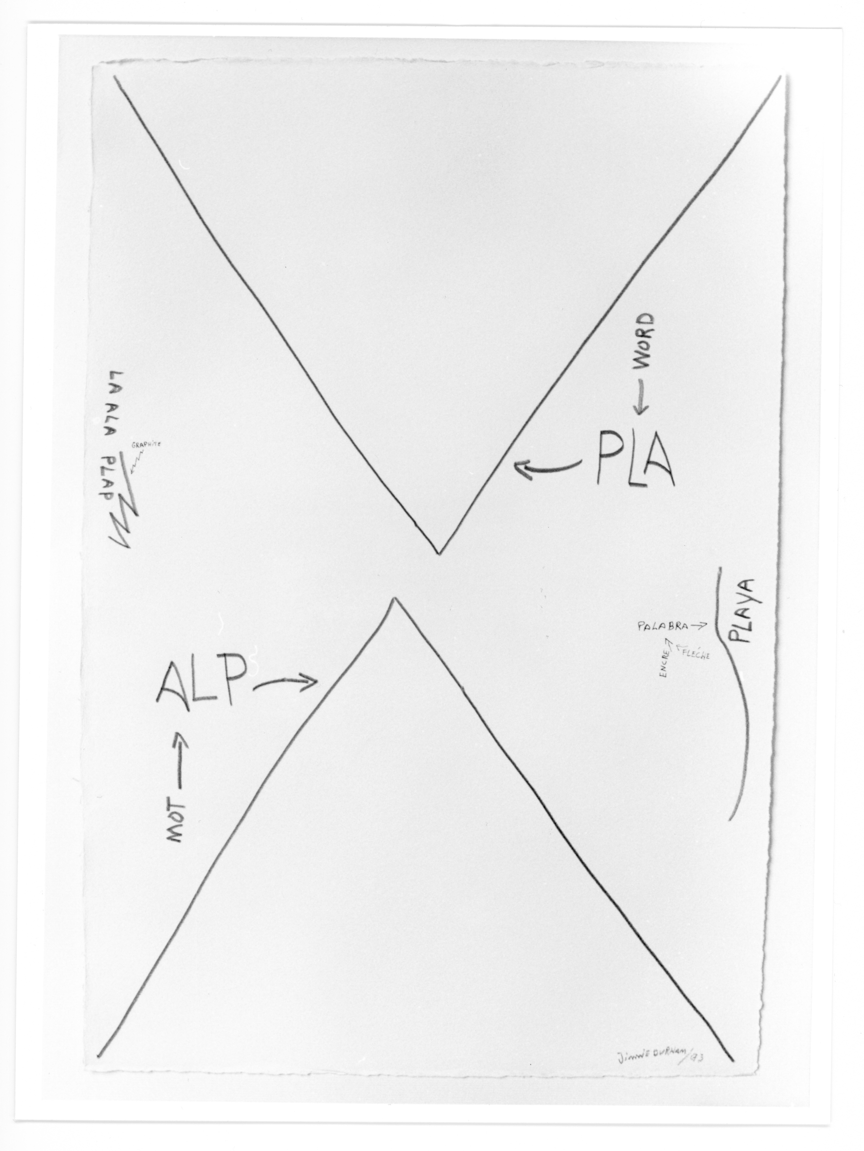 Jimmie Durham / David Hammons image