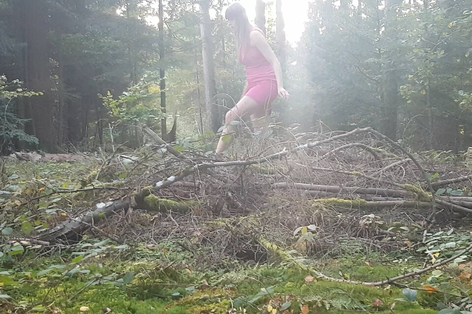 Wild Girlz image