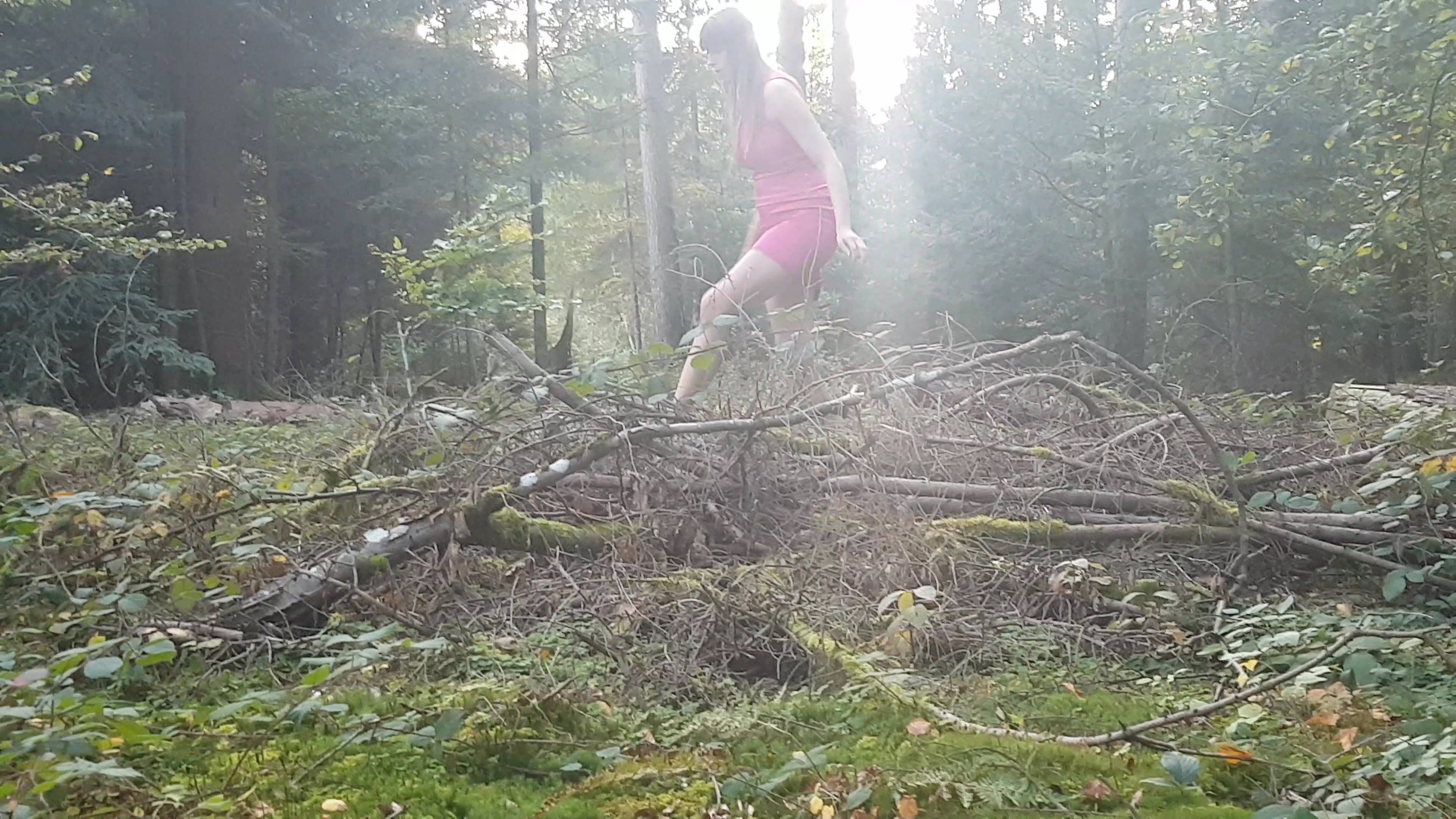 Wild Girlz image