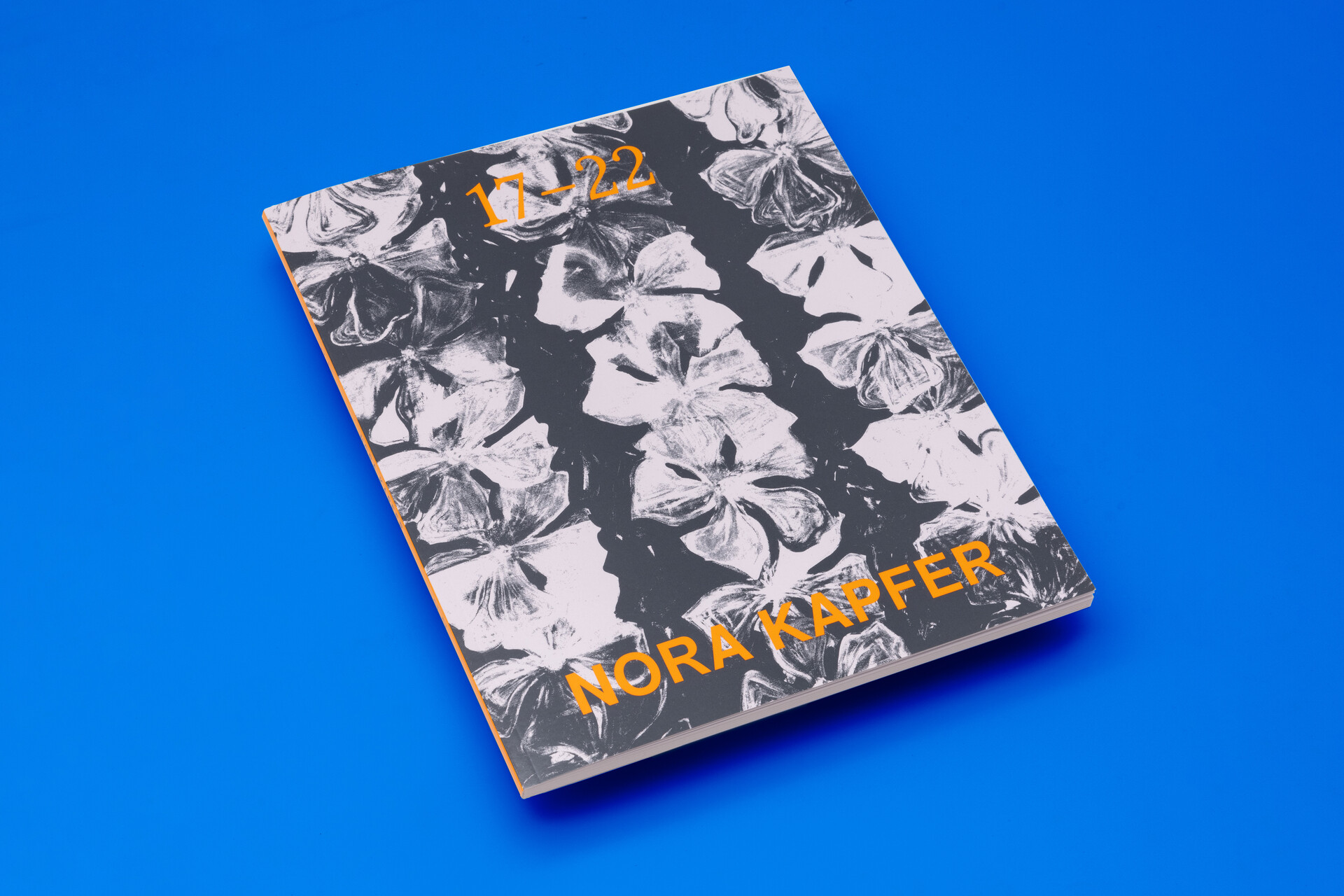 Nora Kapfer book launch image
