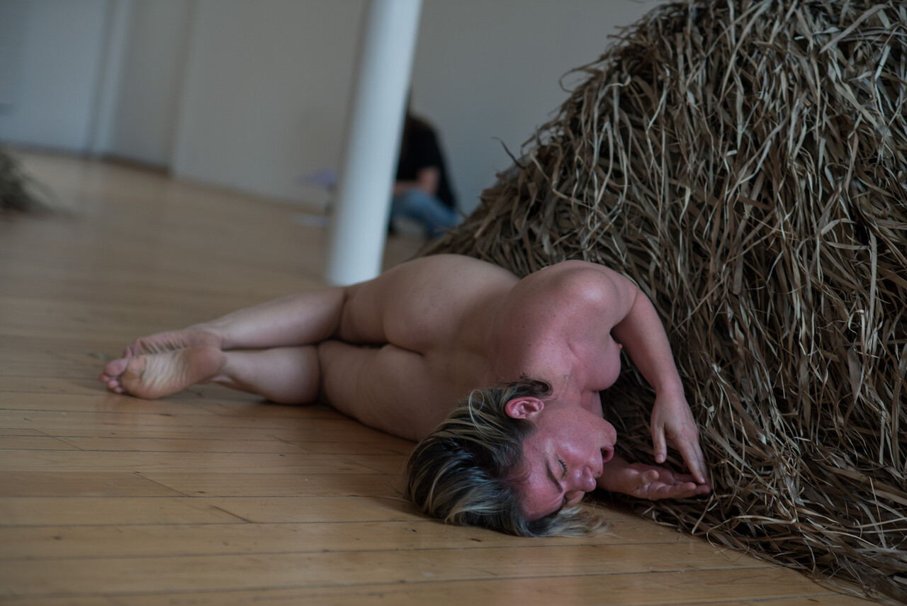 Performance Sagri image