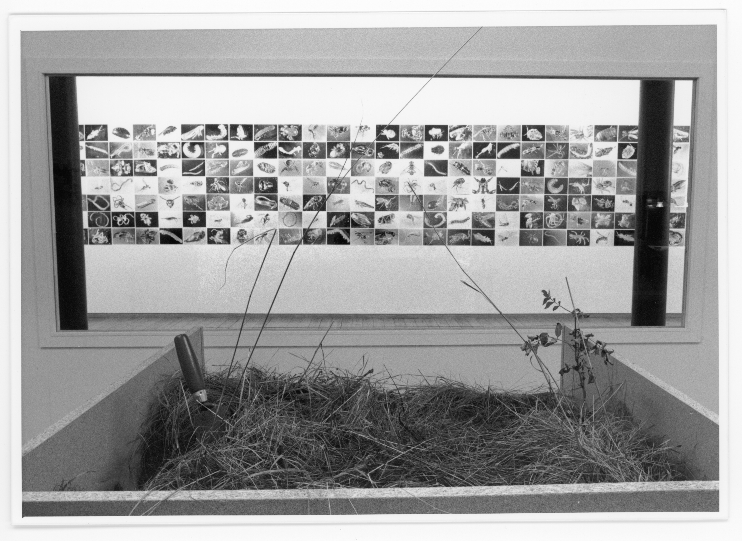 Unseen Fribourg image