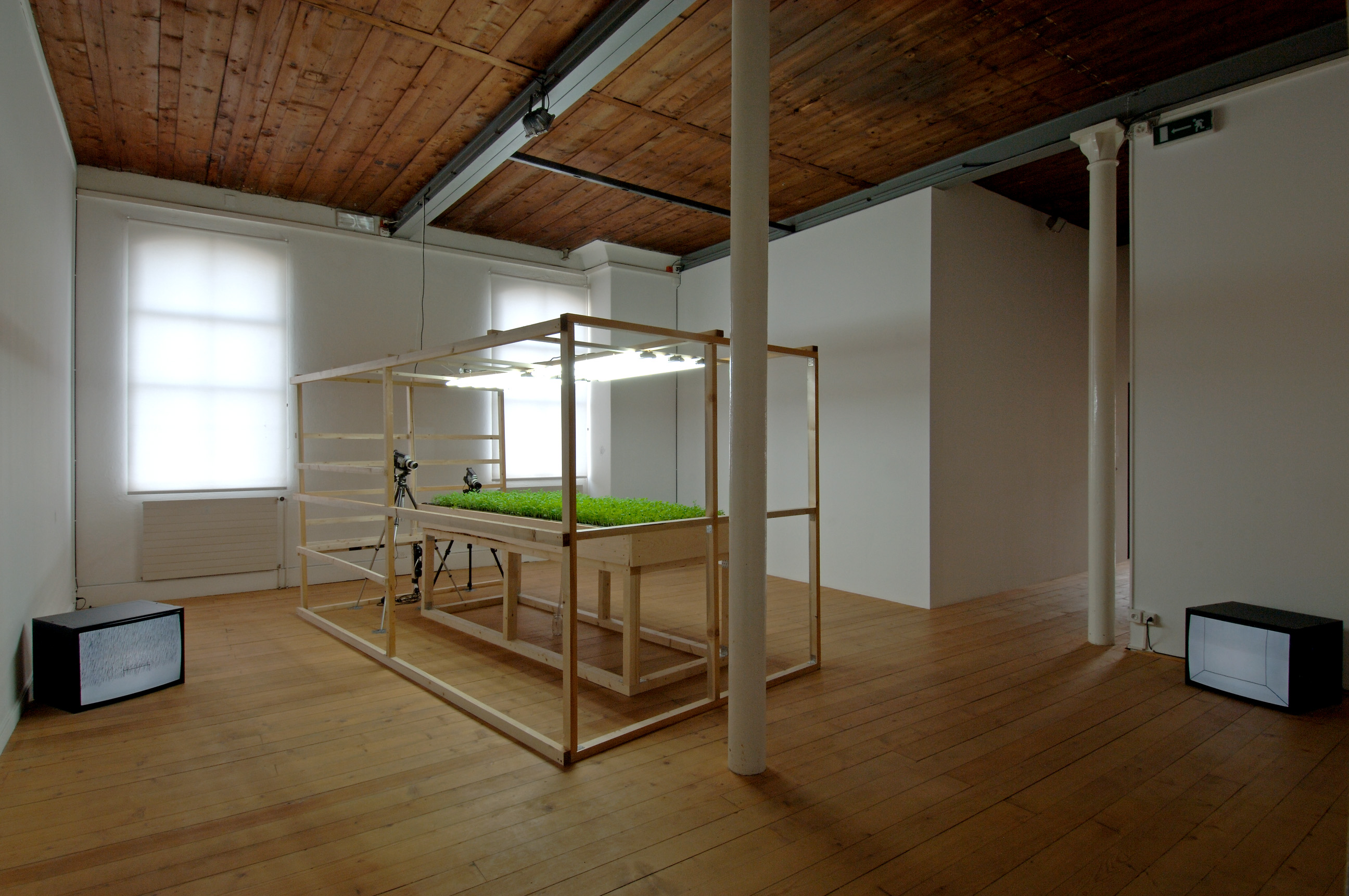 Dis&Appearance image