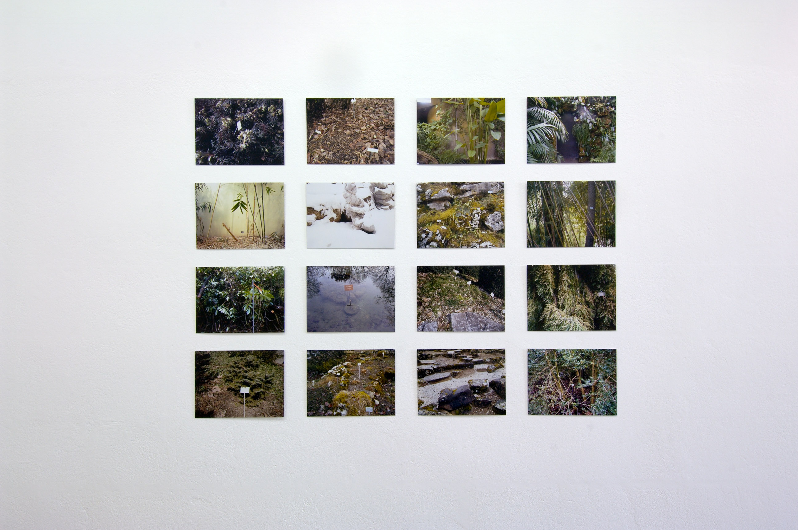 Our house, in the middle of our street image