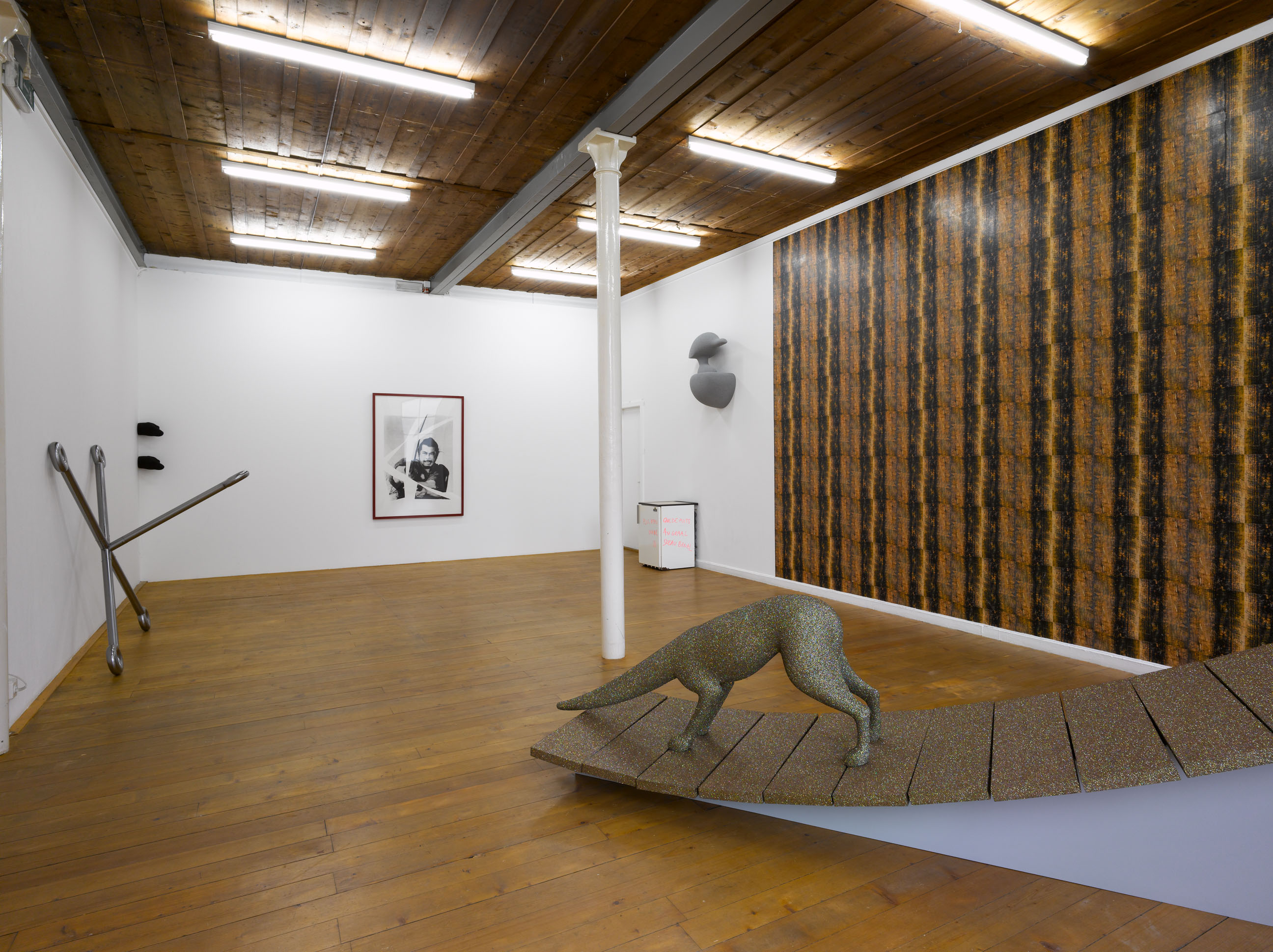 Chausse-Trappes image