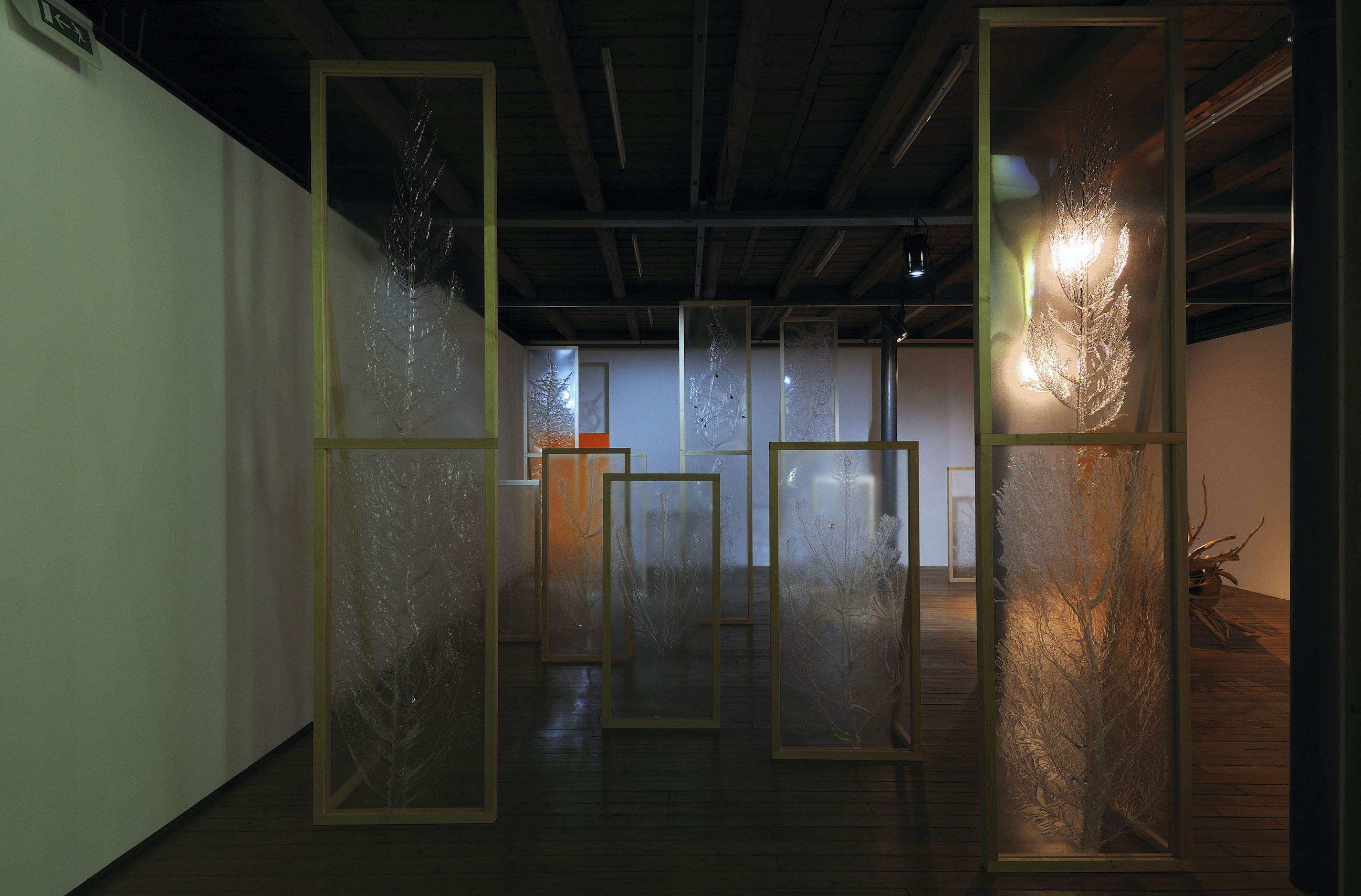 Hollow Trees & Storybook Ruins image