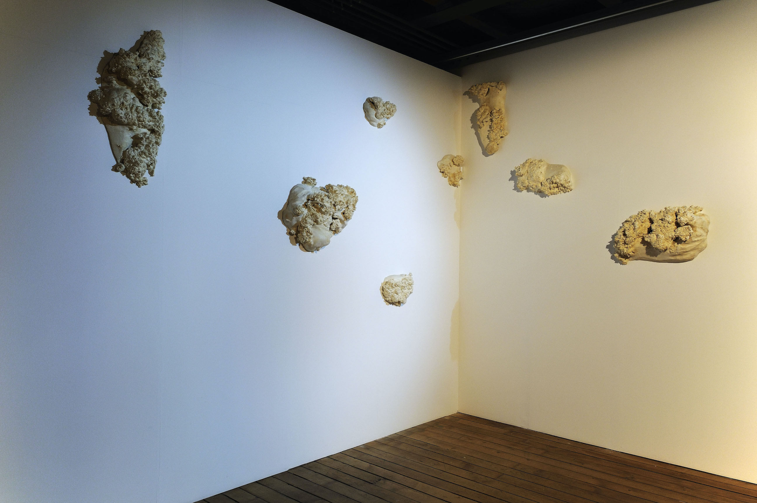 Hollow Trees & Storybook Ruins image