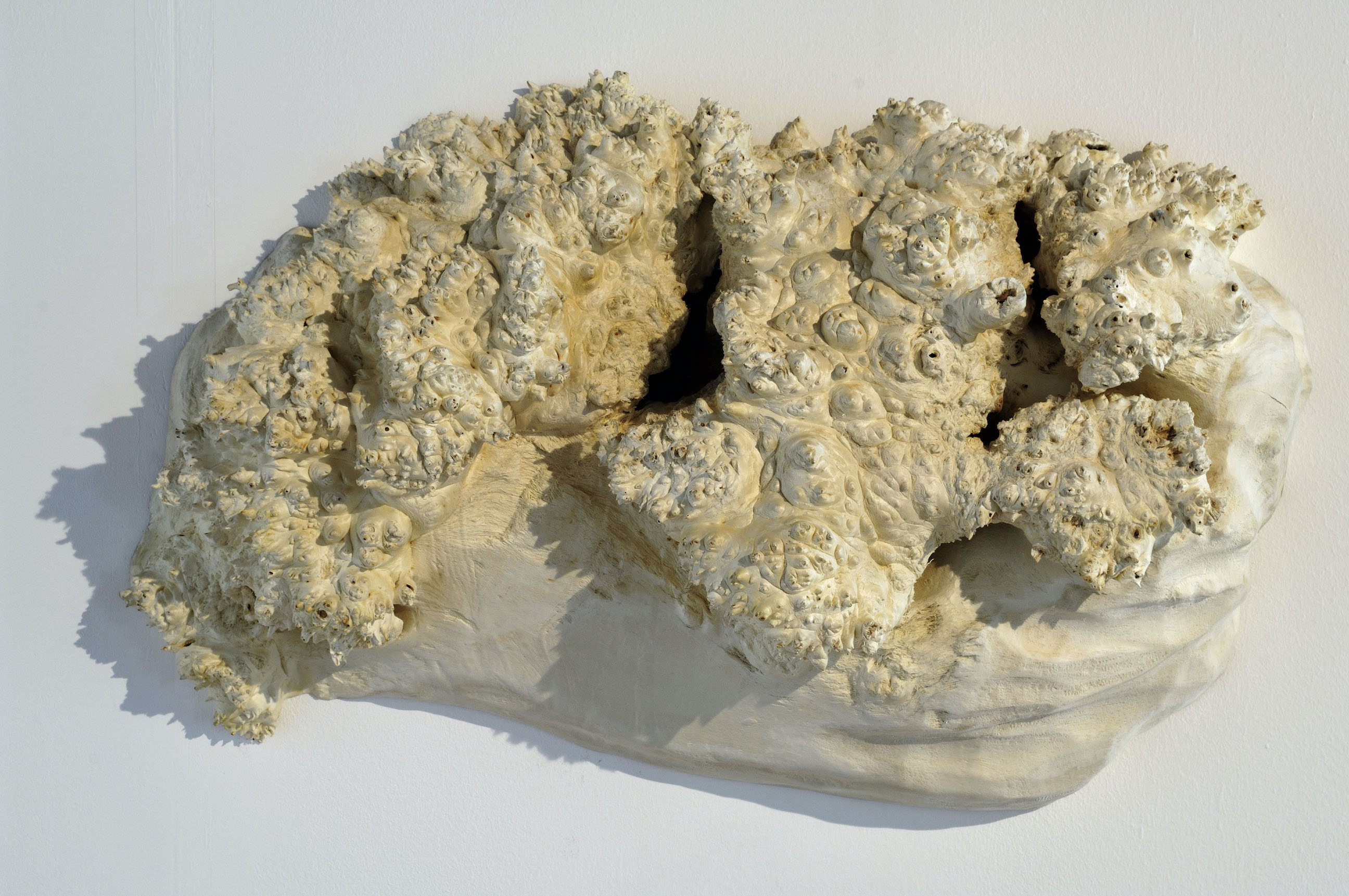 Hollow Trees & Storybook Ruins image