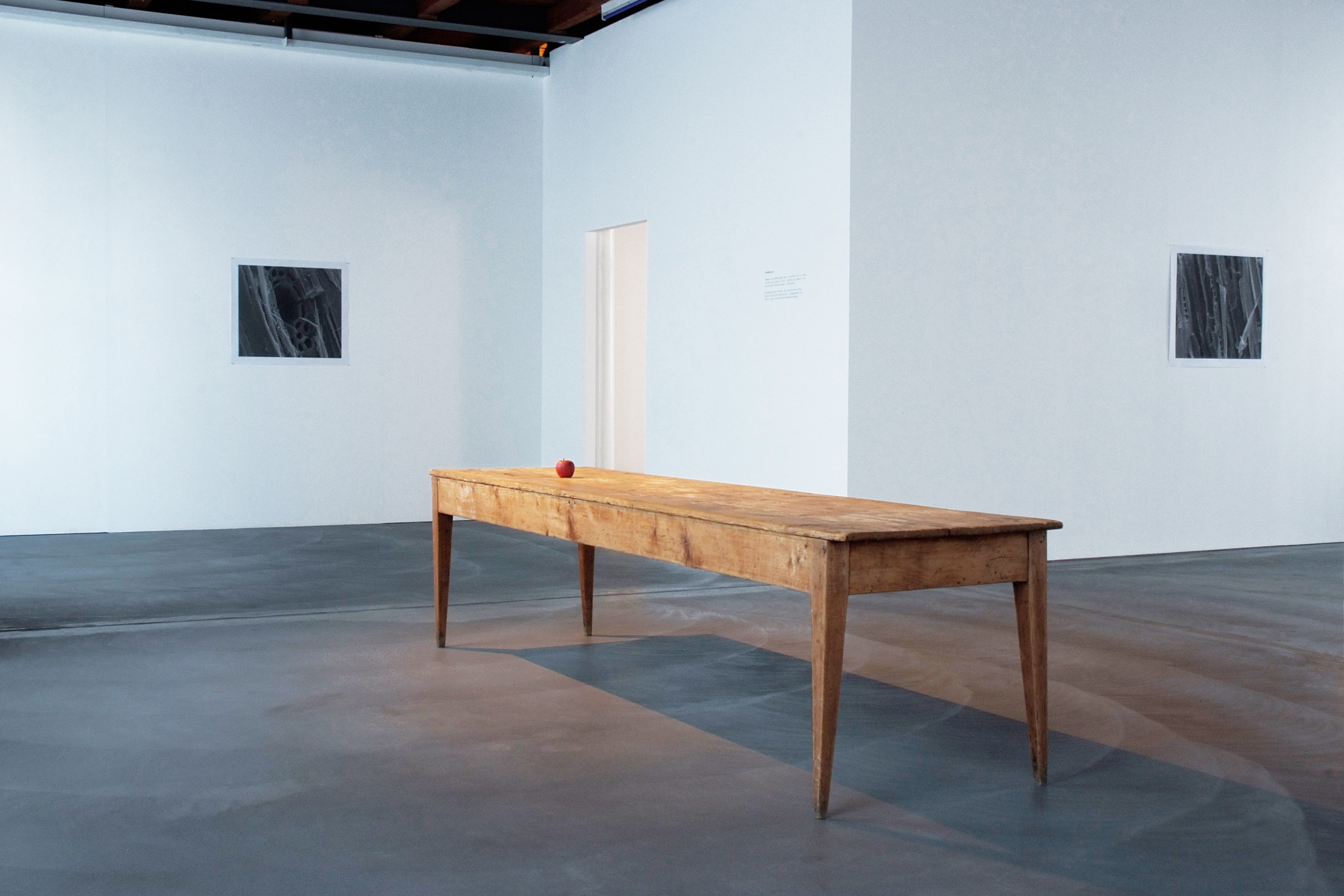 Dieu rend visite à Newton image