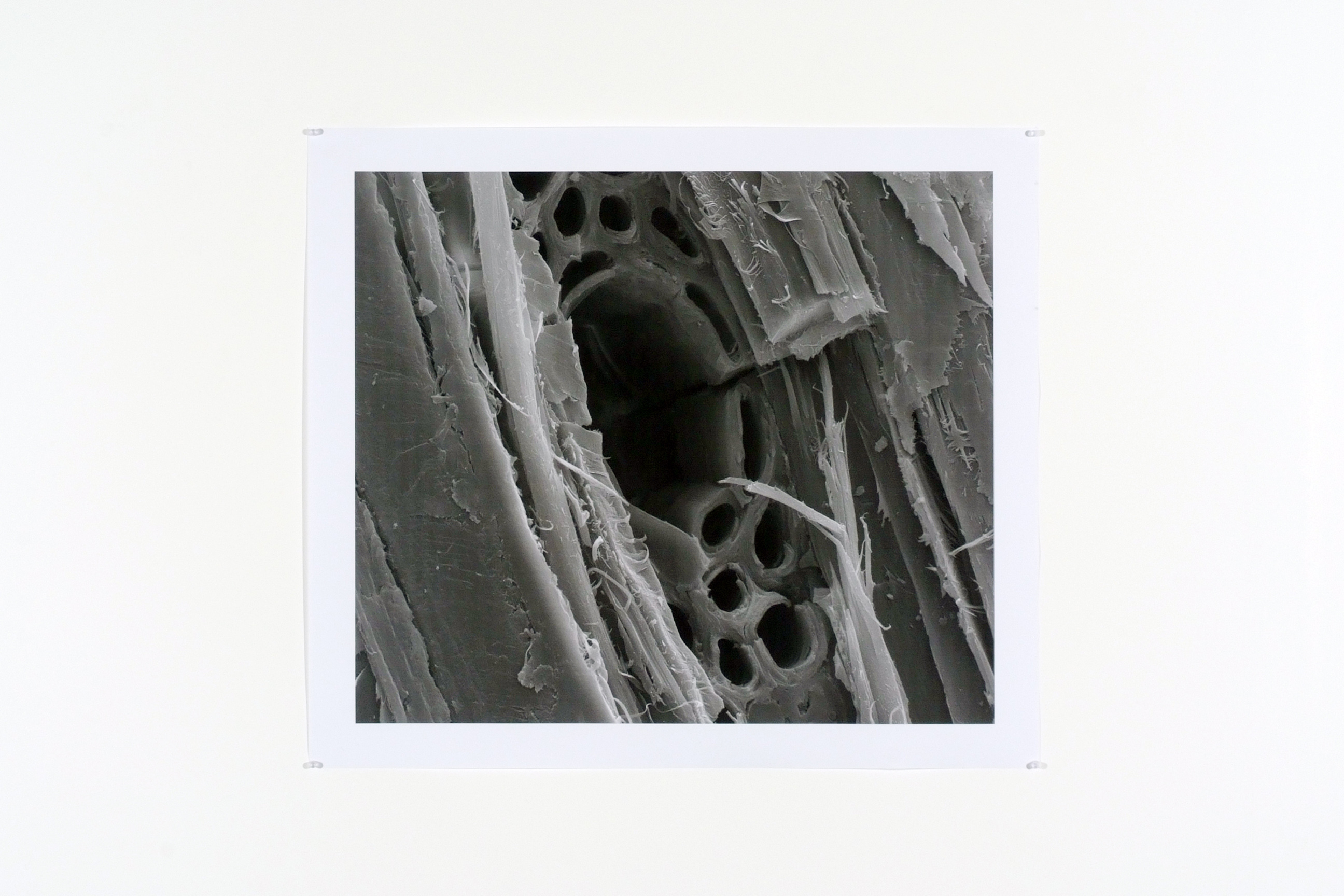 Dieu rend visite à Newton image