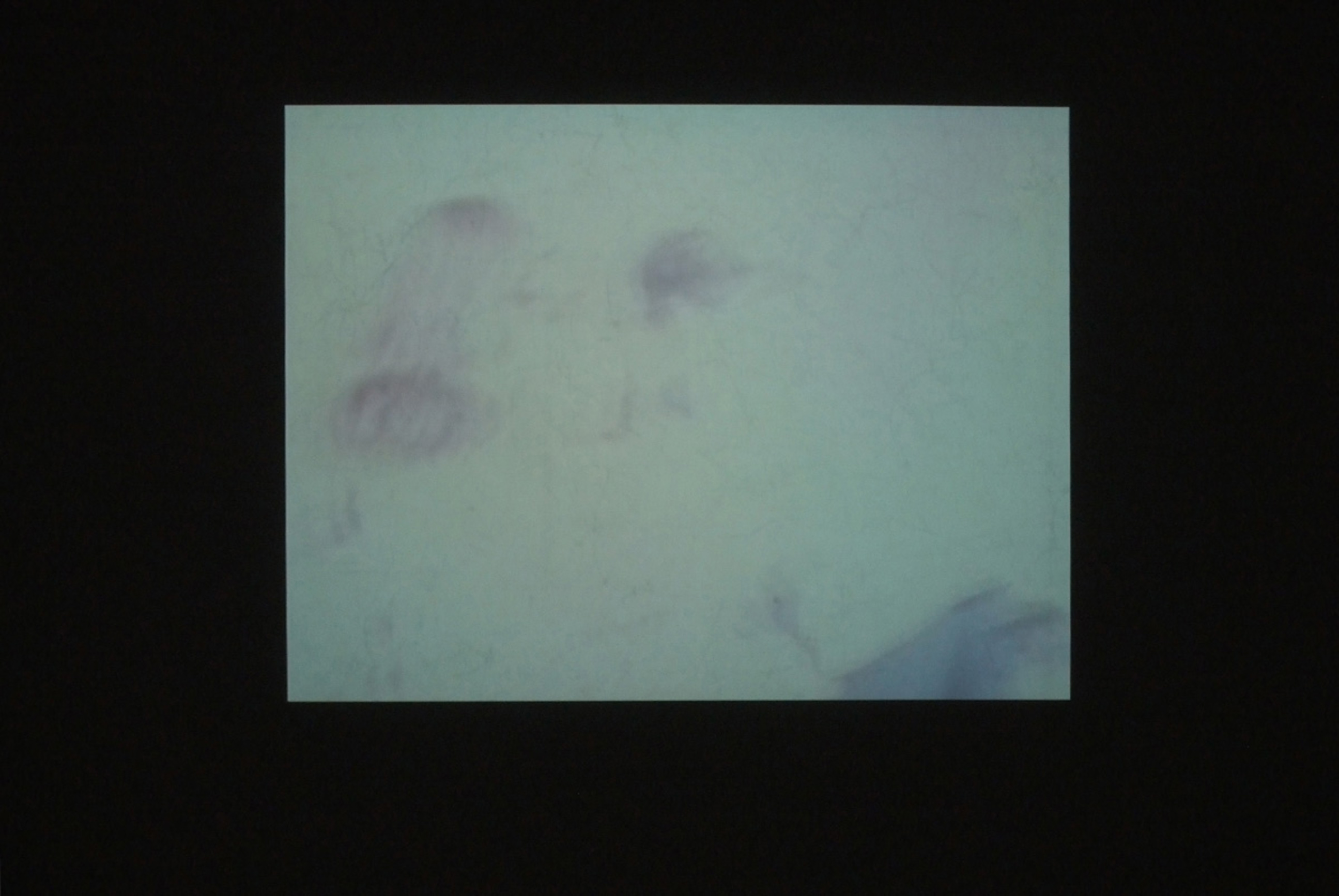 Paysages avec objets absents image