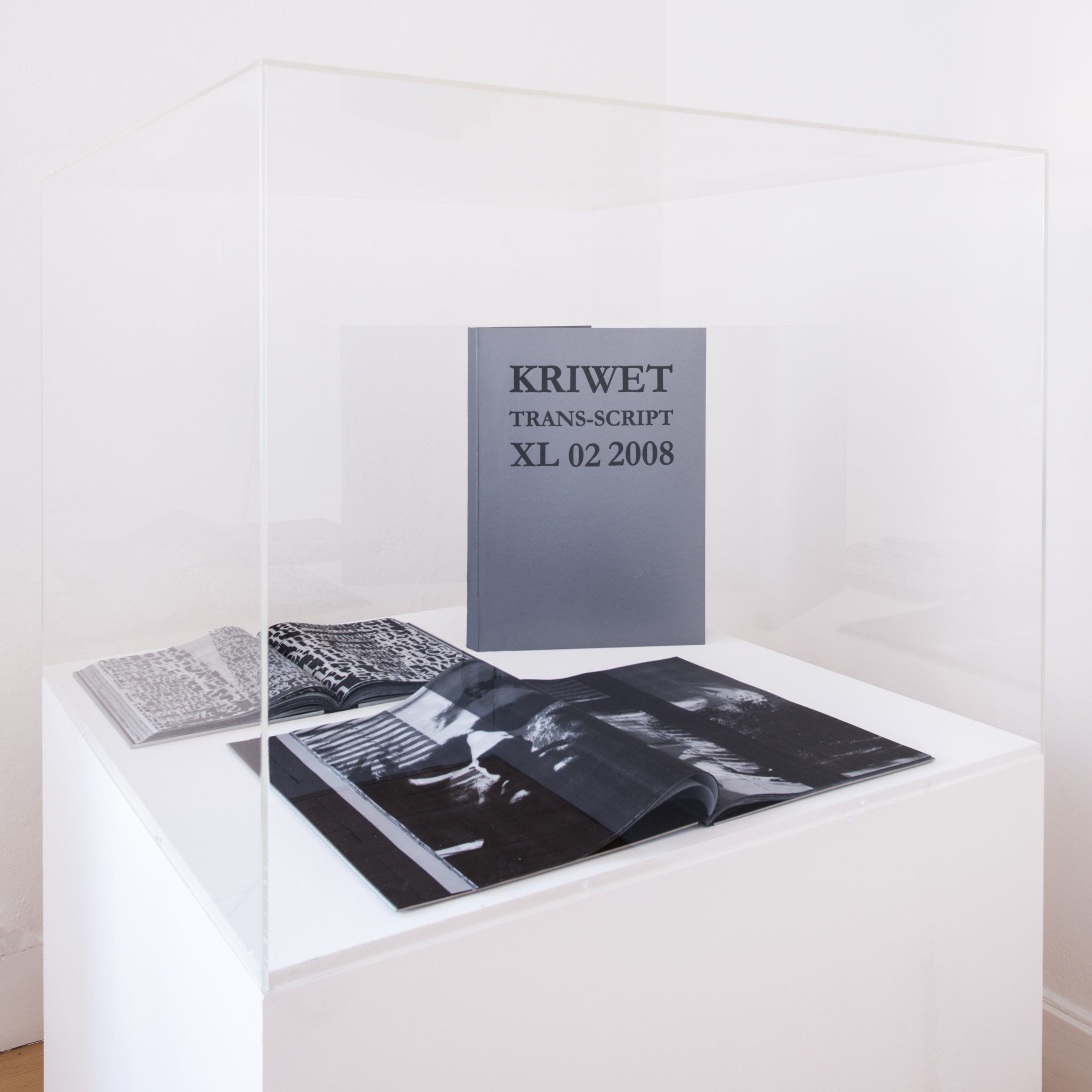 Ferdinand Kriwet image