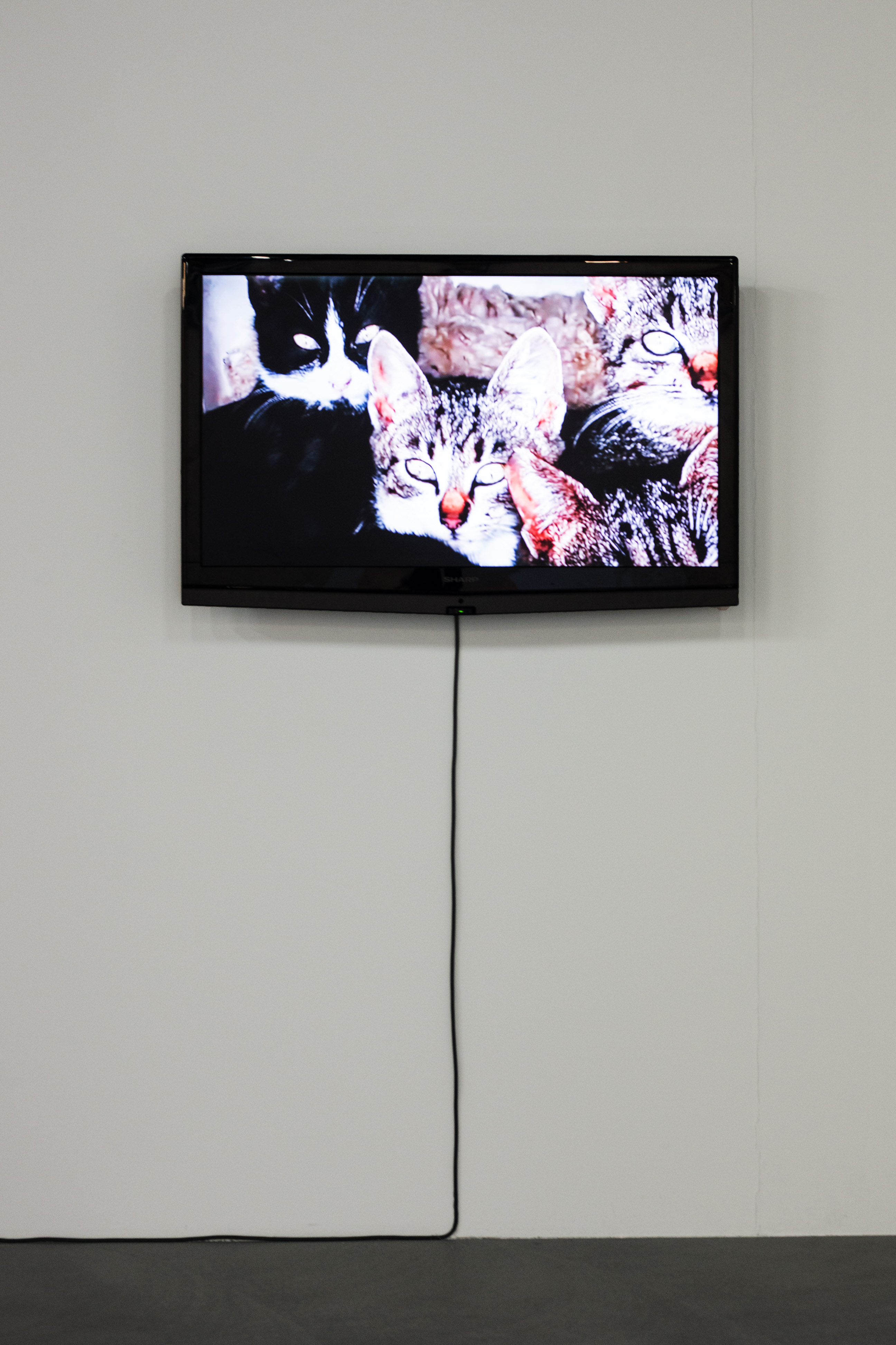 Hannah Weinberger image