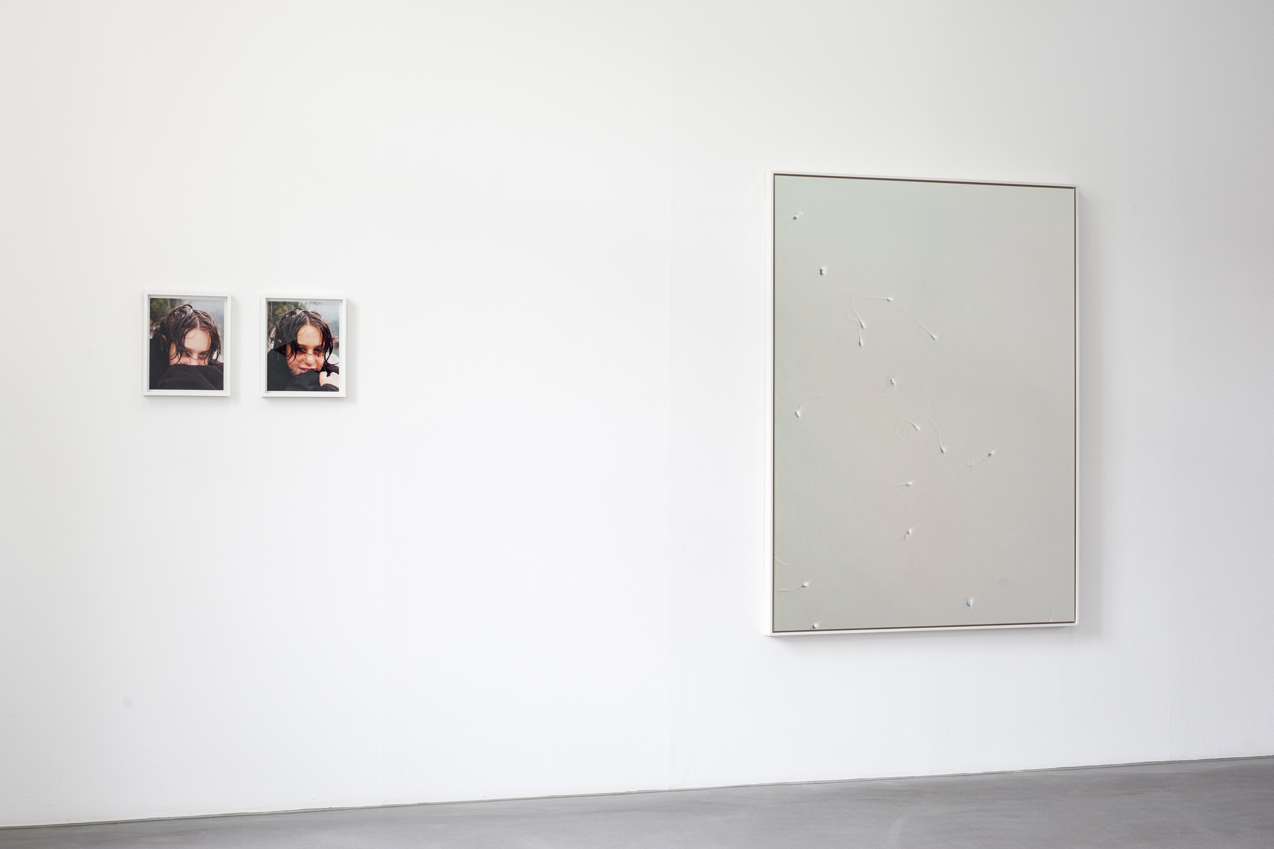 Banque d'images image