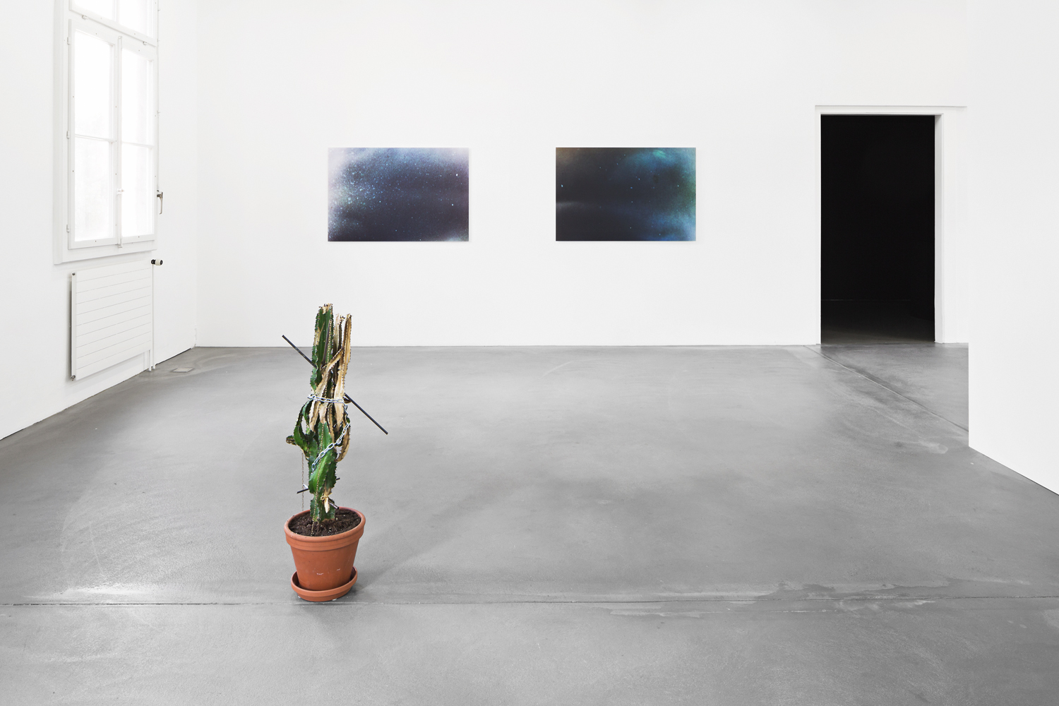 Jérôme Berbier, David Brülhart, Stefanie Mauron, Lauris Paulus, Laurie Vannaz, Jérémy Wuthrer Cuany image