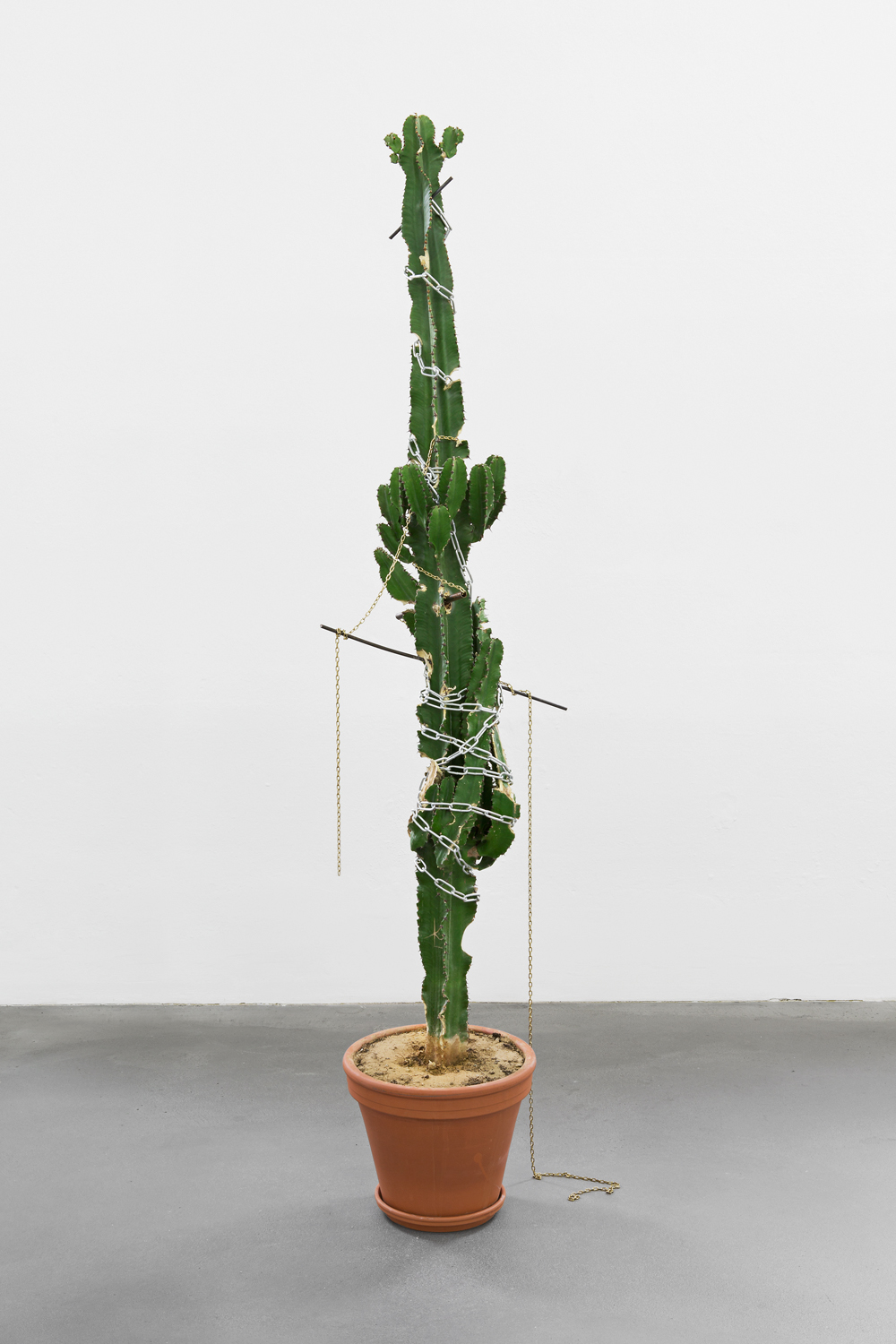 Jérôme Berbier, David Brülhart, Stefanie Mauron, Lauris Paulus, Laurie Vannaz, Jérémy Wuthrer Cuany image