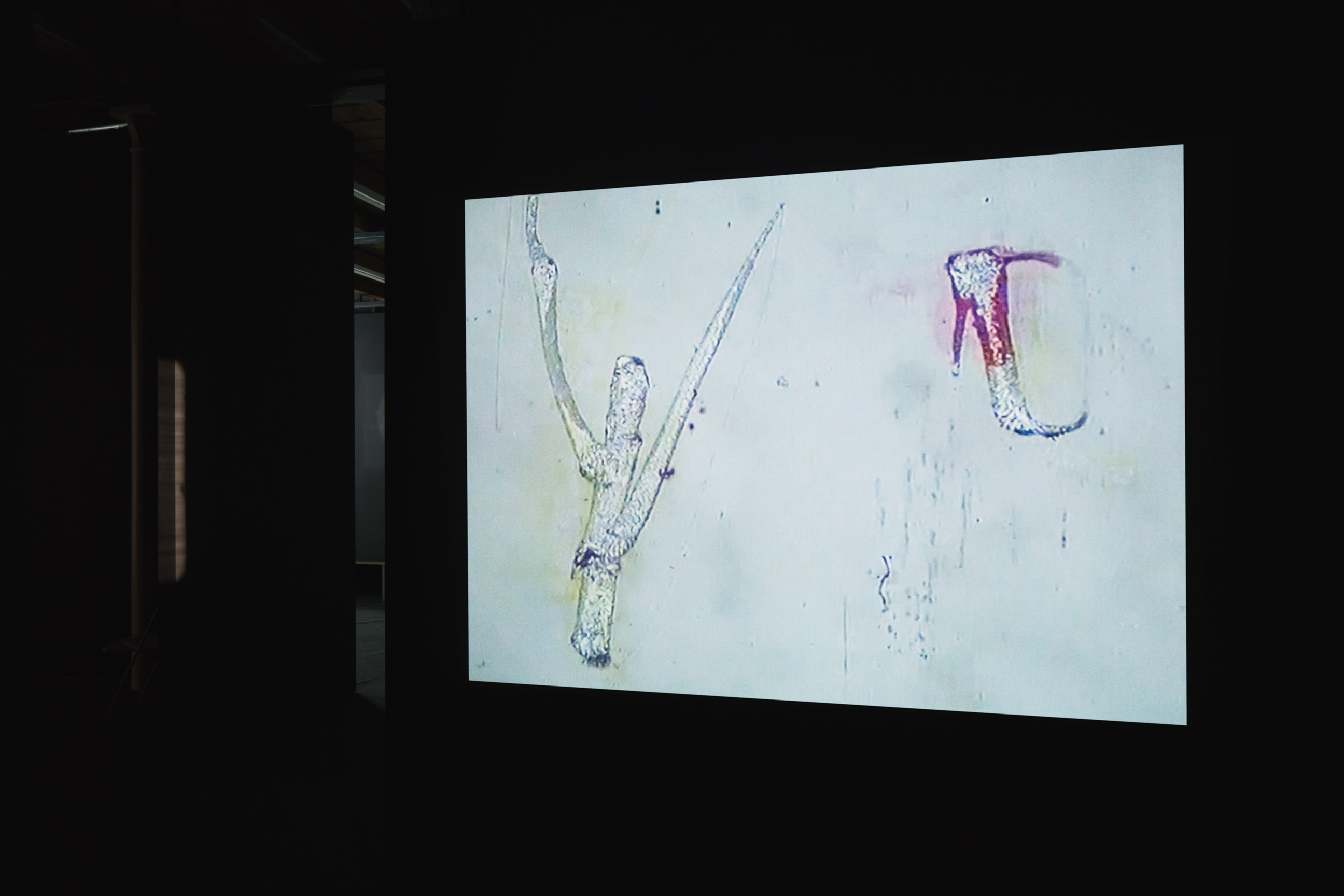 Film Implosion ! Experiments in Swiss Cinema and Moving Images image