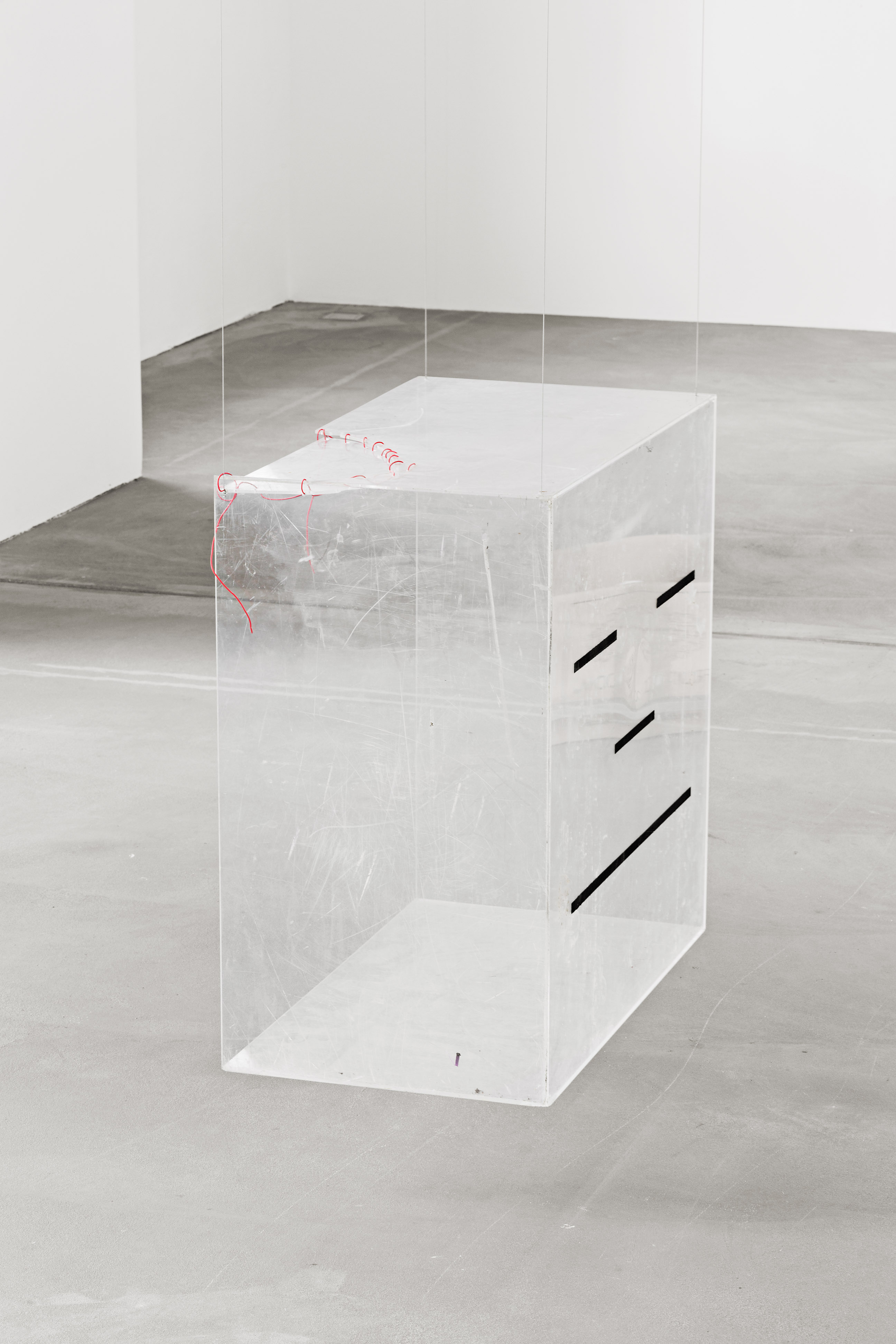 Somebody in New York Loves Me image