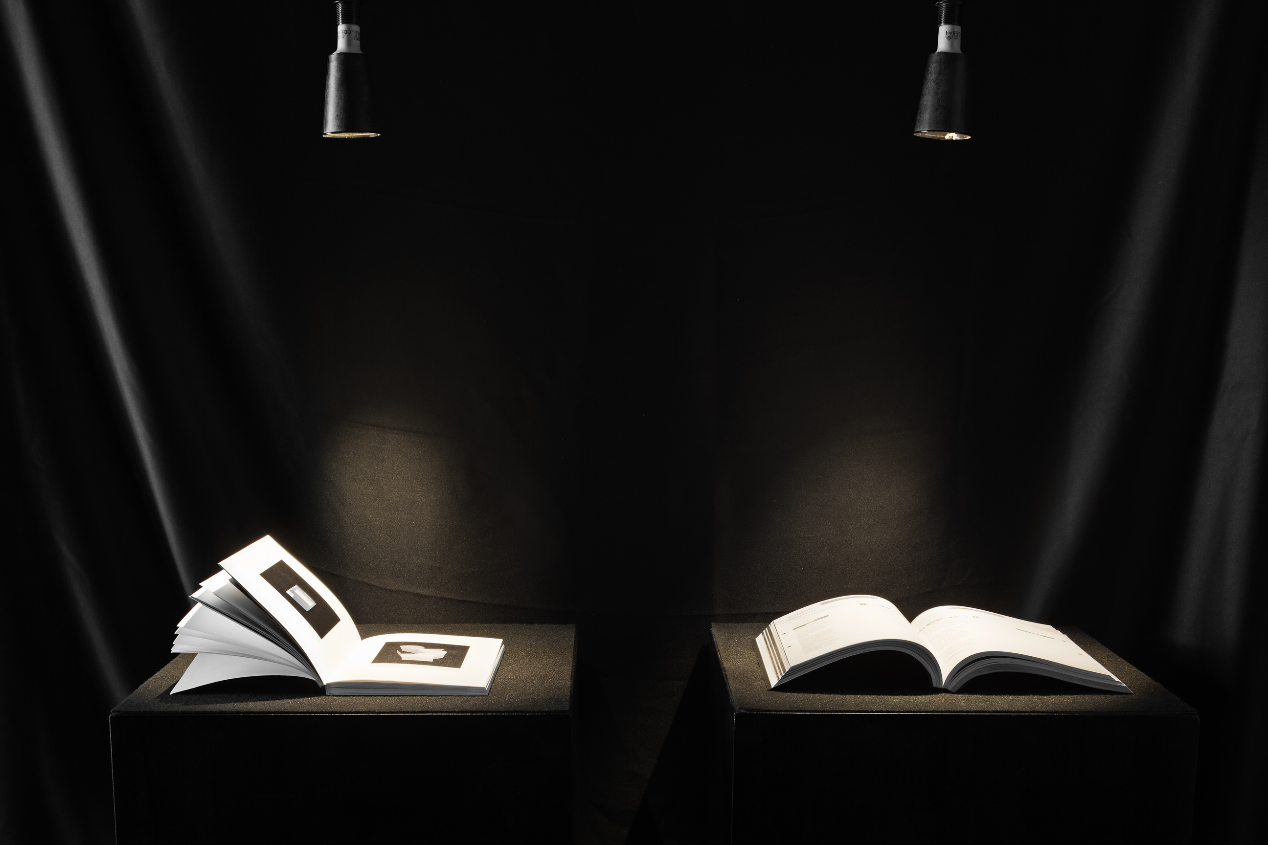 Fribi White Card image