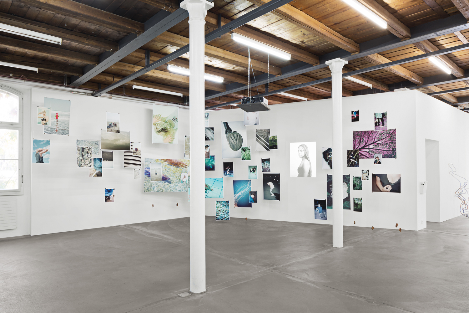 Fribi White Card image