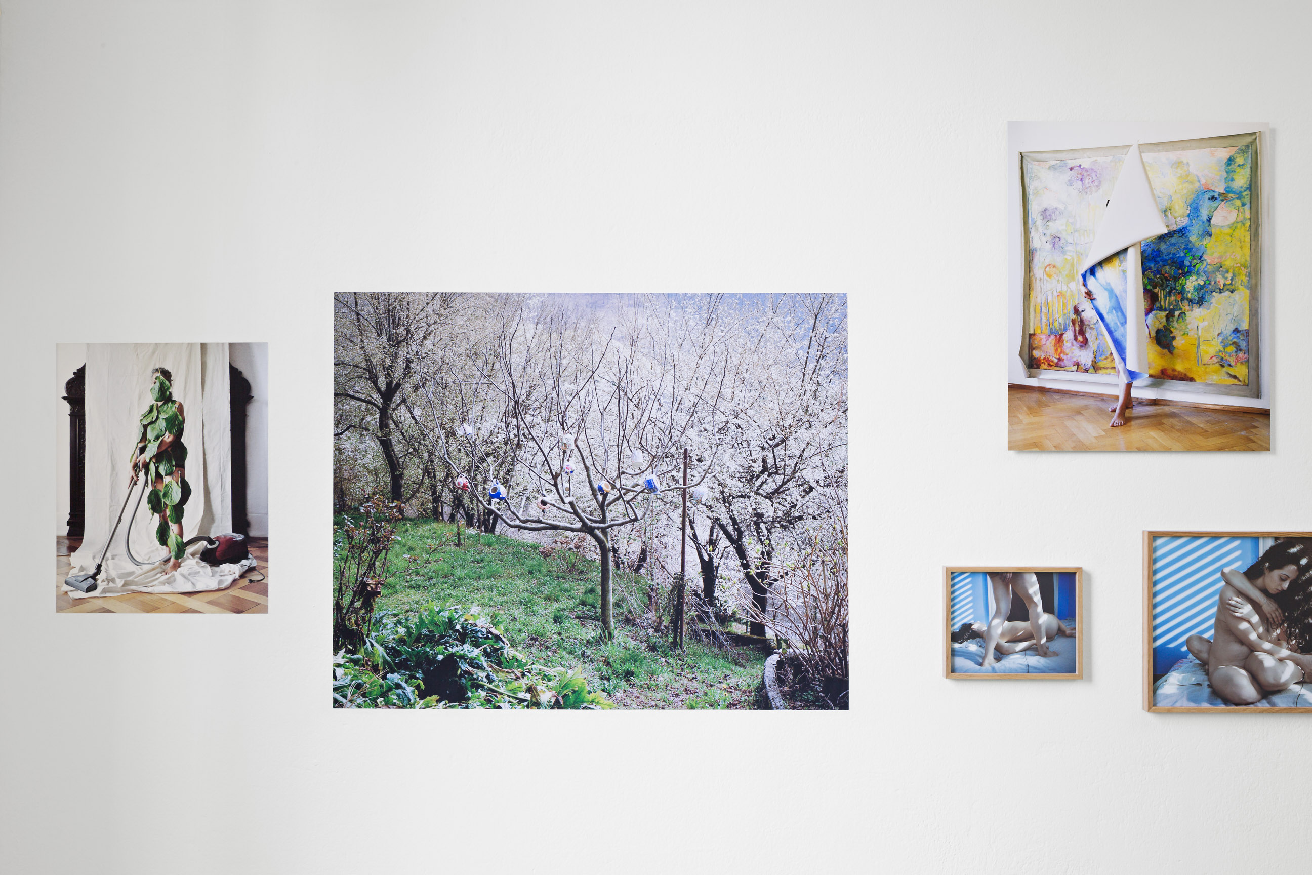 Fribi White Card image