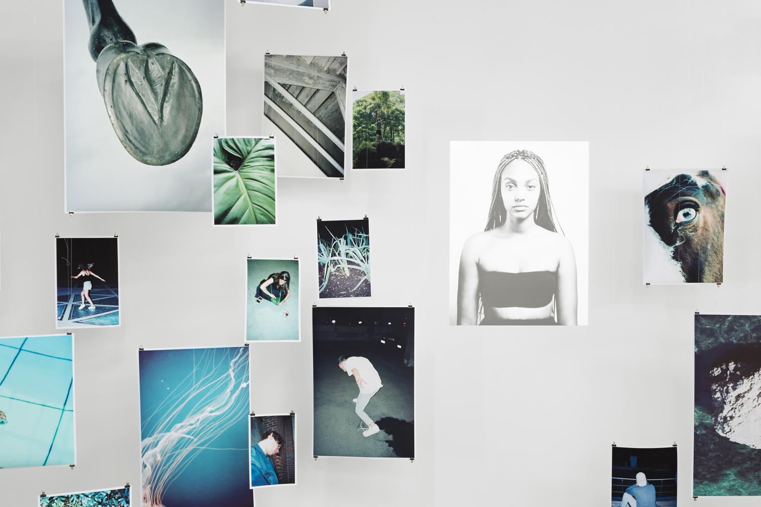 Fribi White Card image