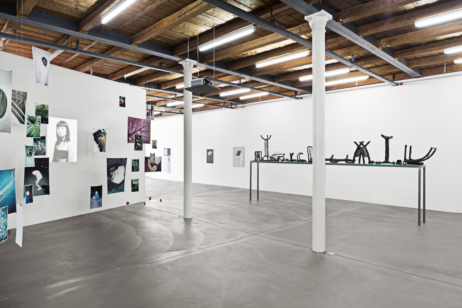 Fribi White Card image