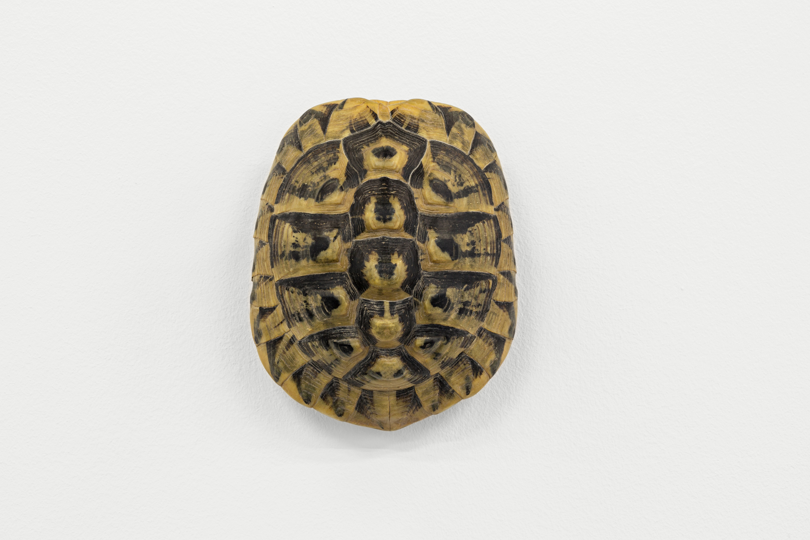 Research & Development image