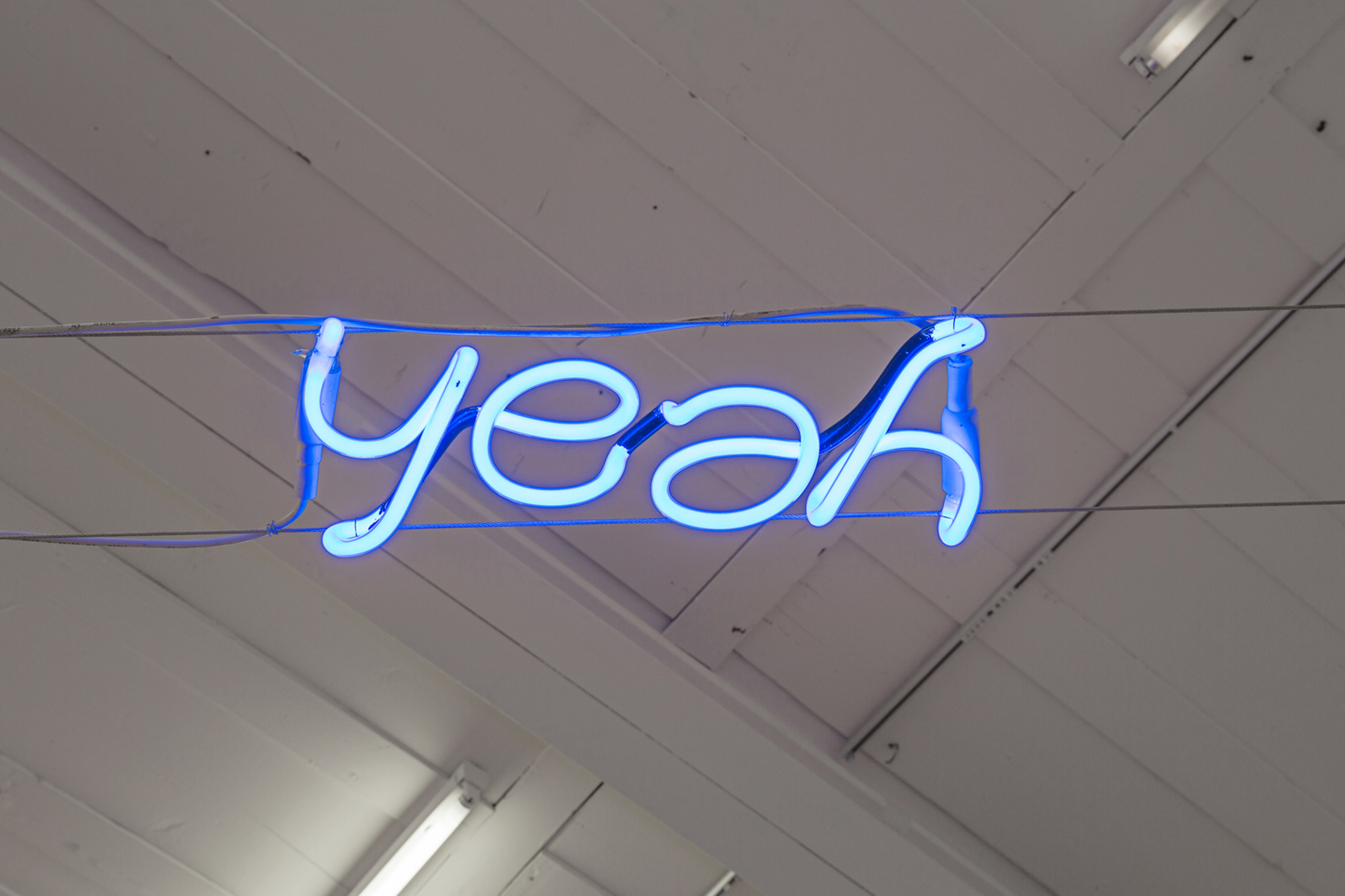 Help in the Search! image