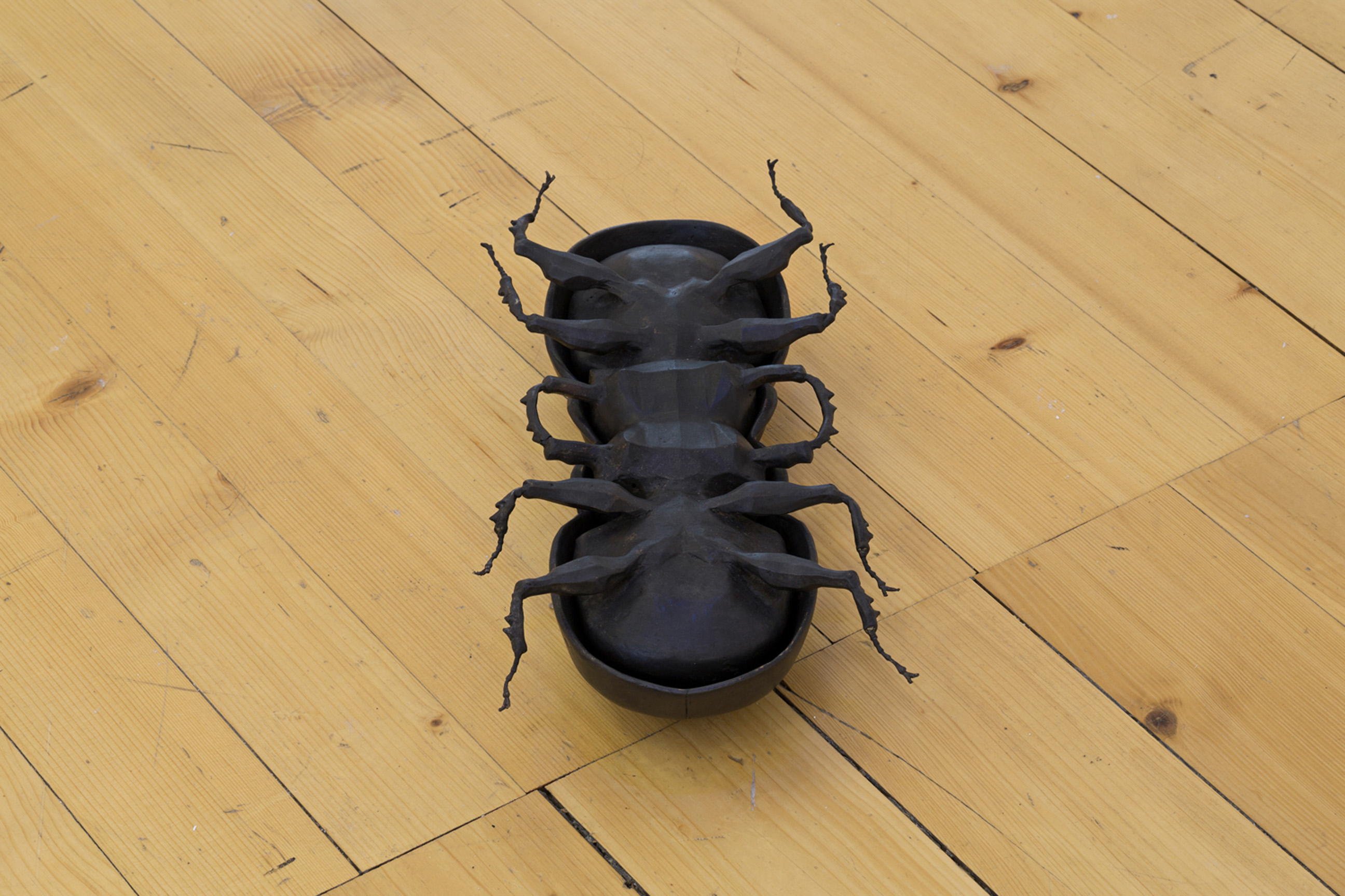 Help in the Search! image