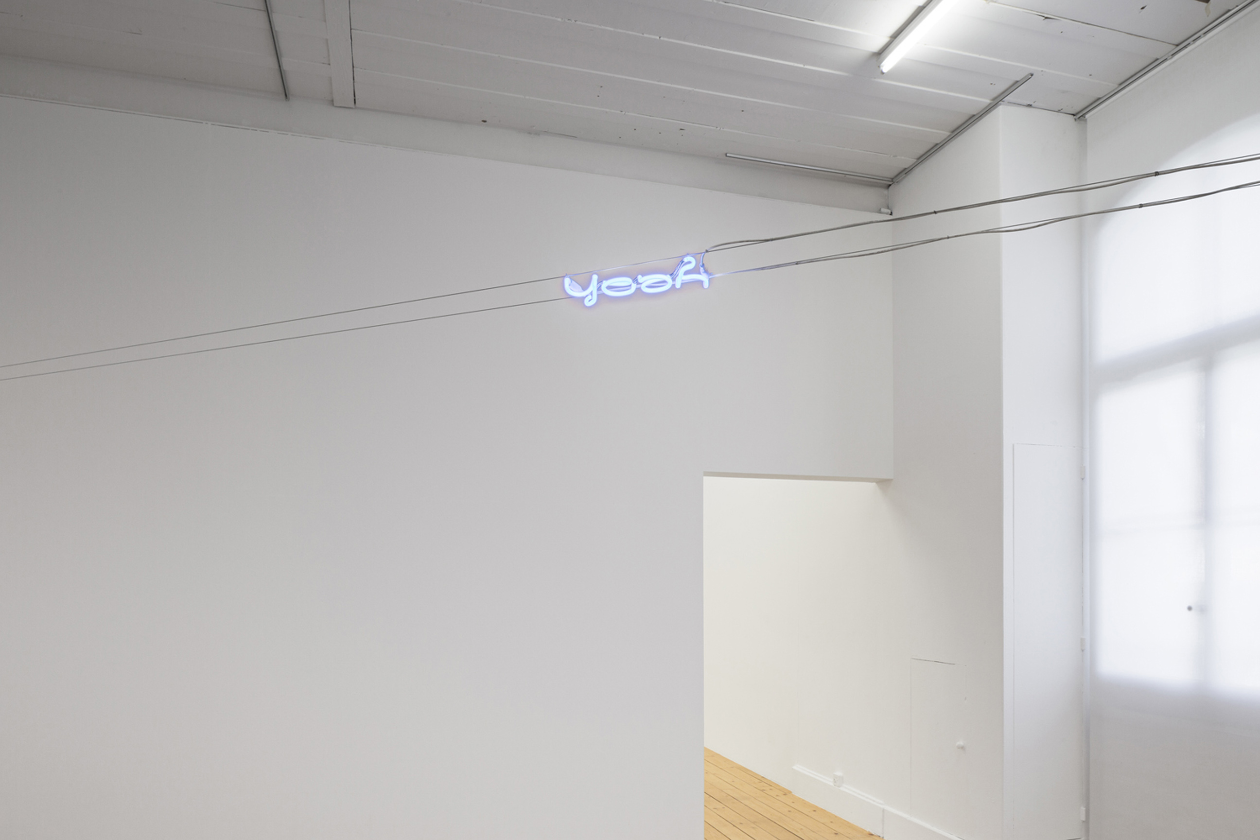 Help in the Search! image