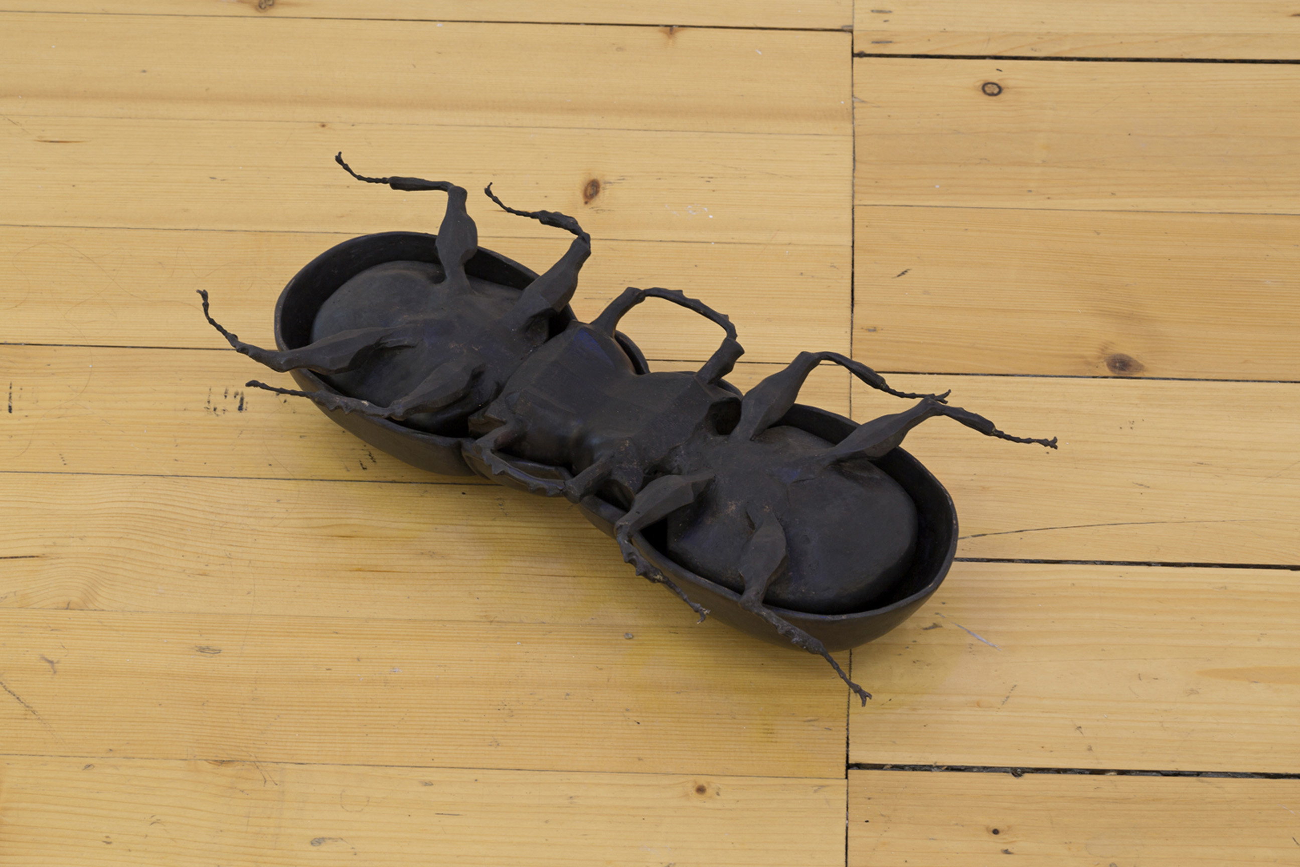 Help in the Search! image