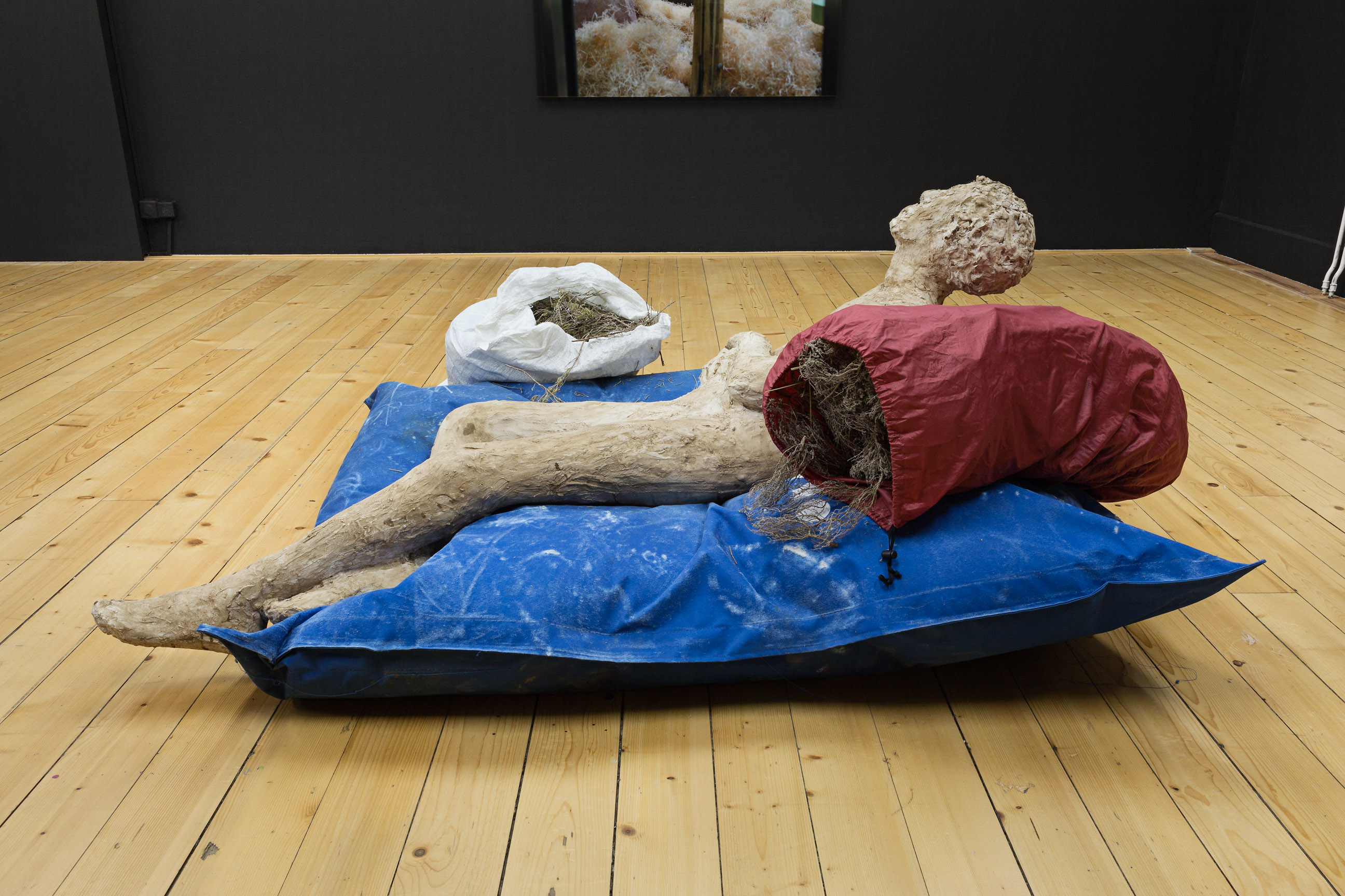 Banque d'images image