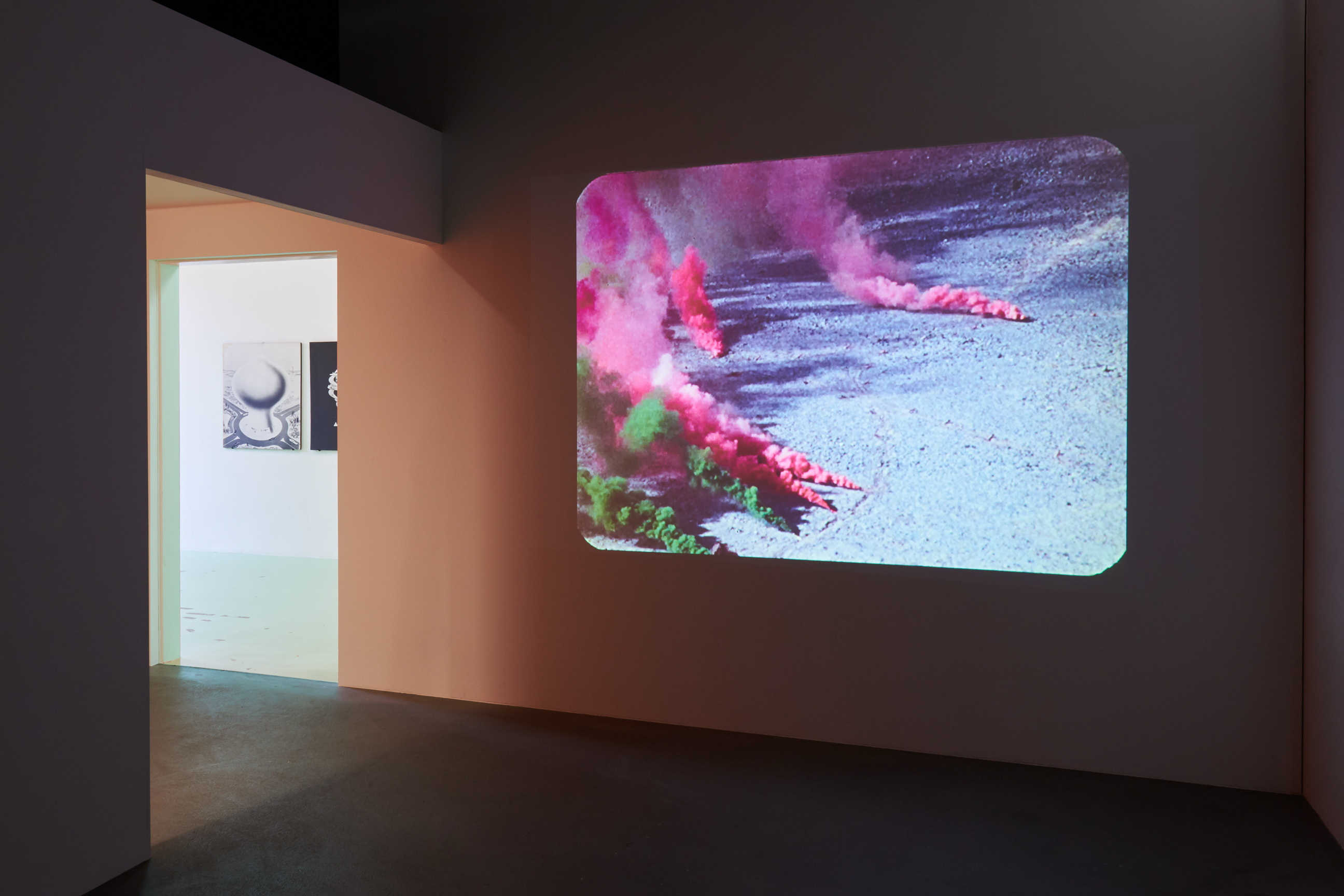 Discoteca Analitica image