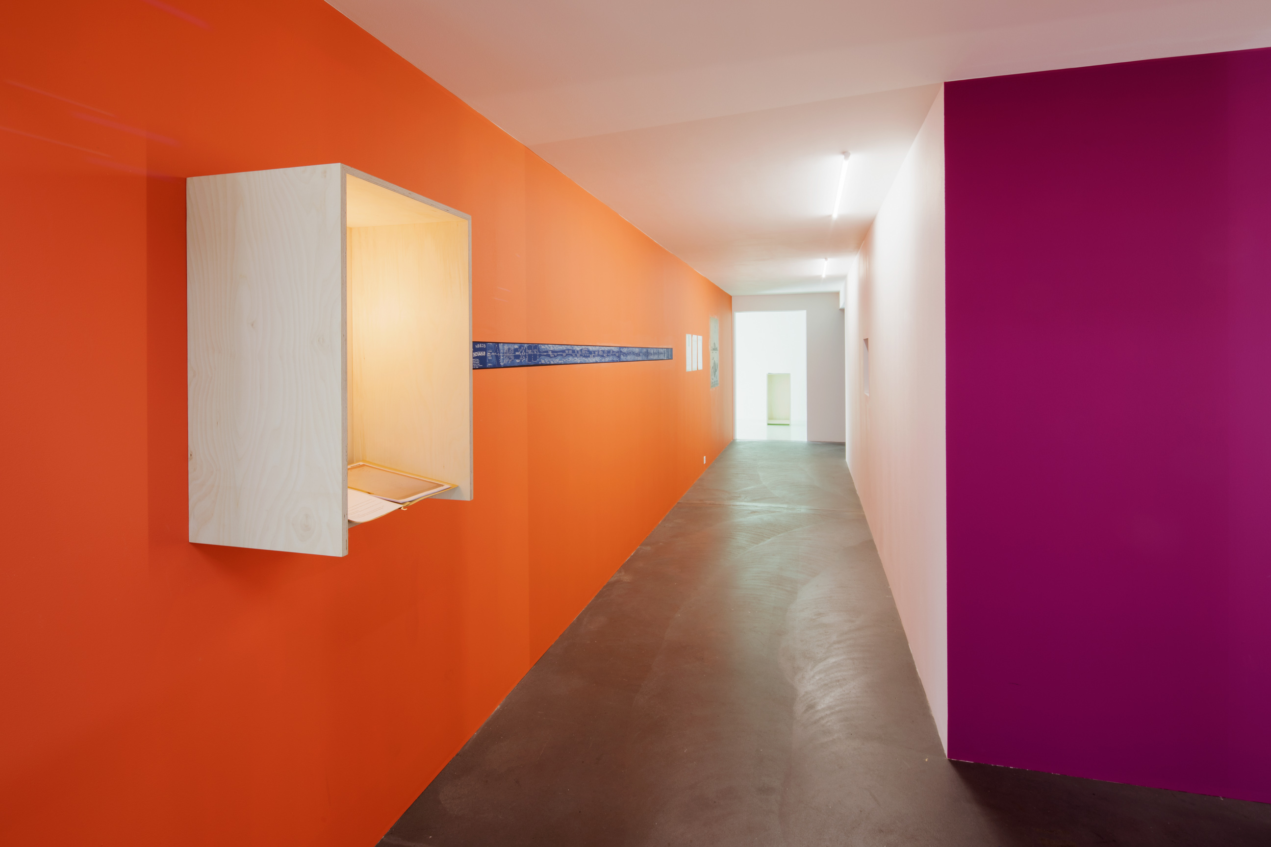 Discoteca Analitica image