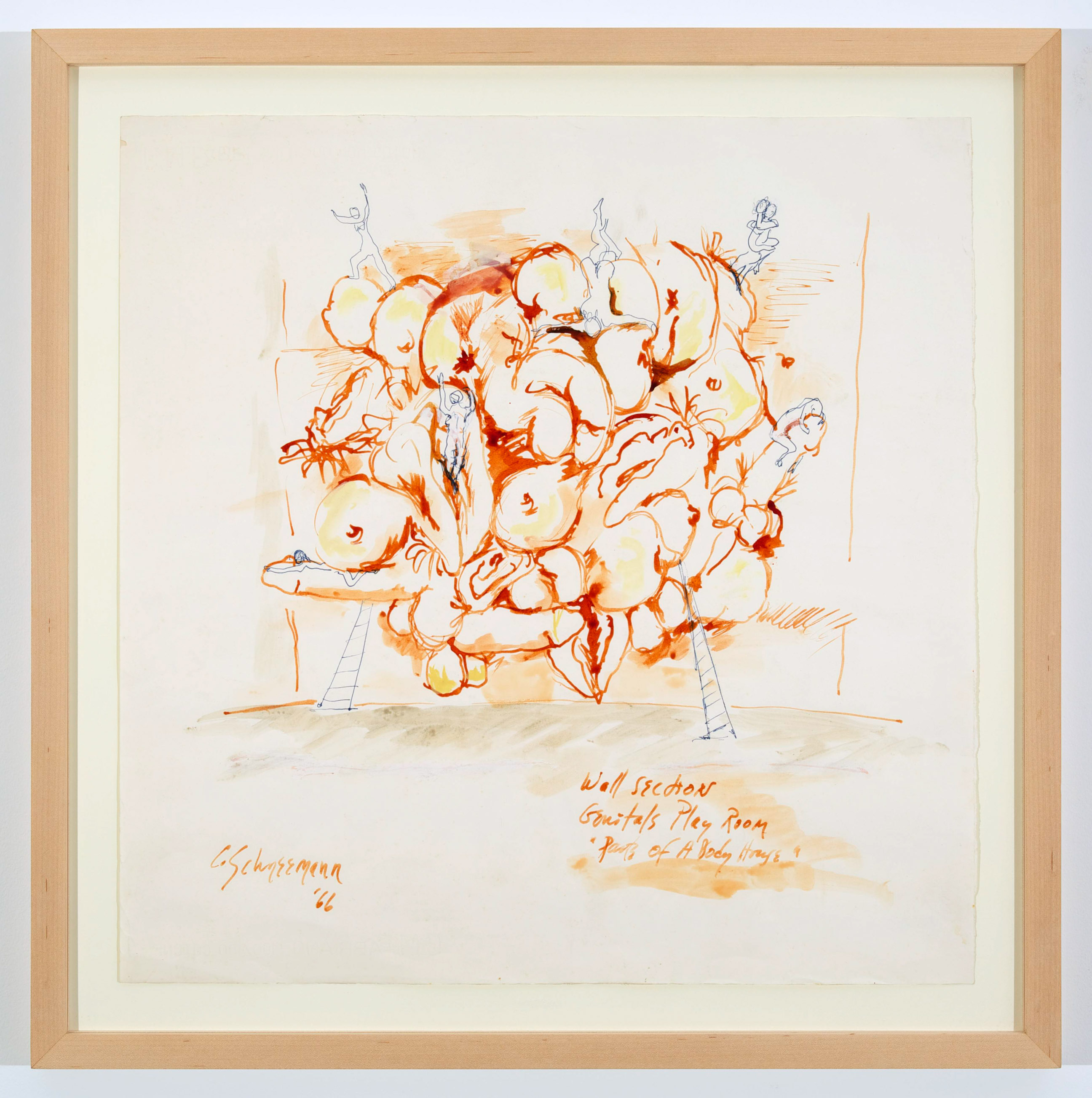 Discoteca Analitica image