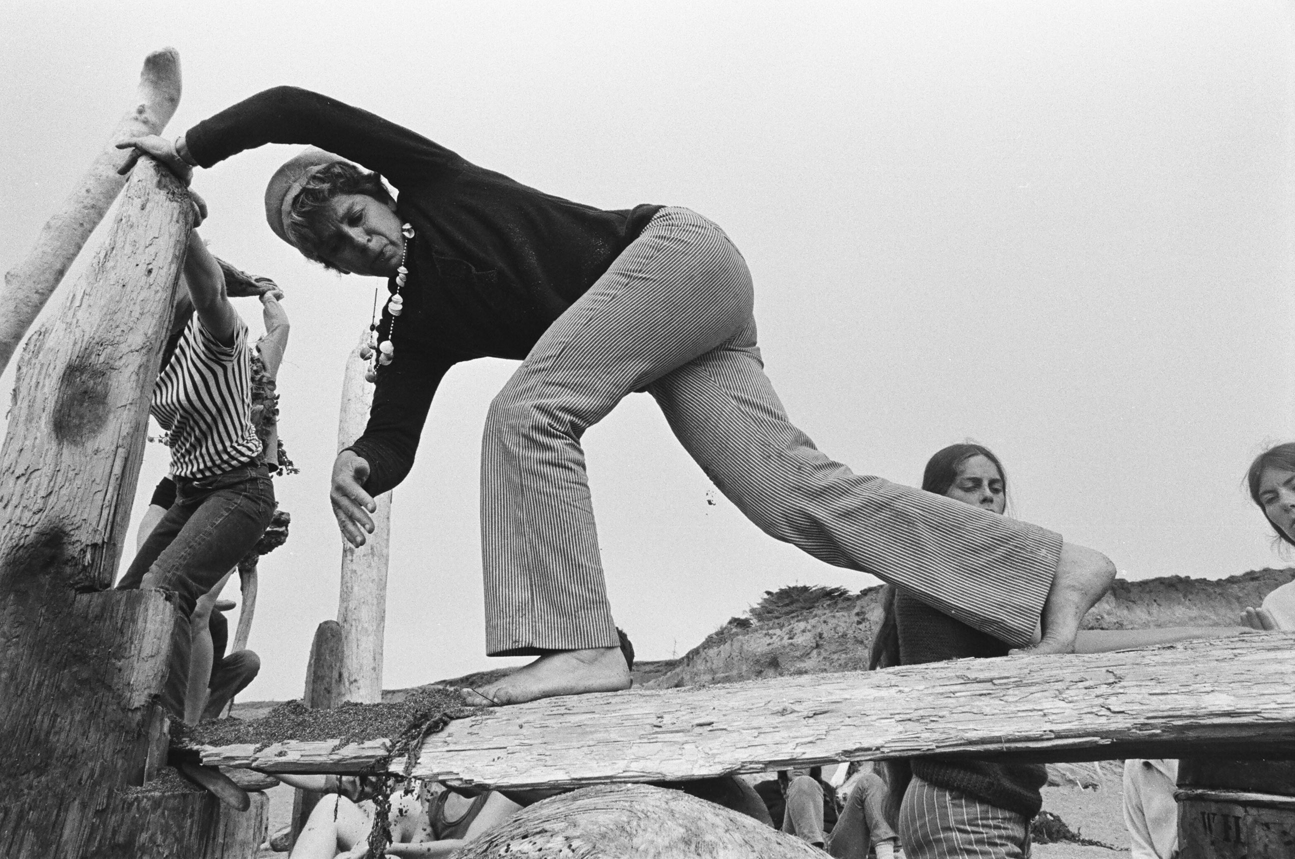 Discoteca Analitica image