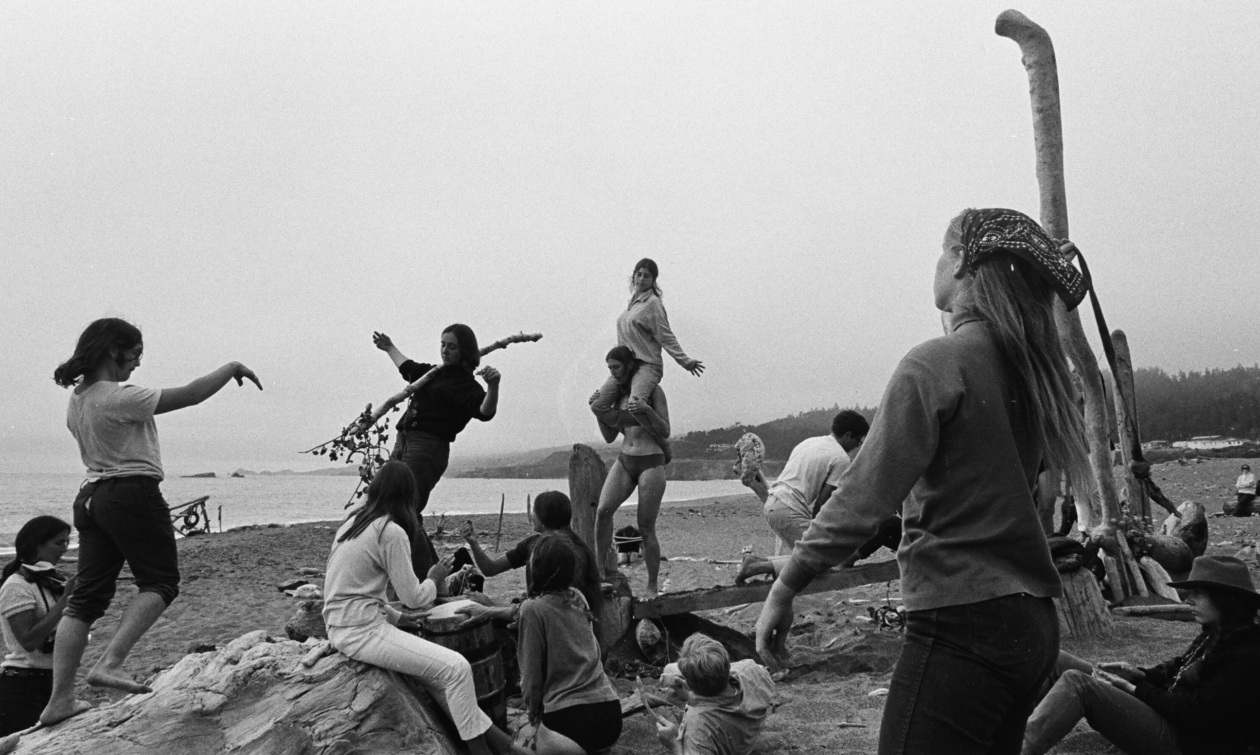 Discoteca Analitica image