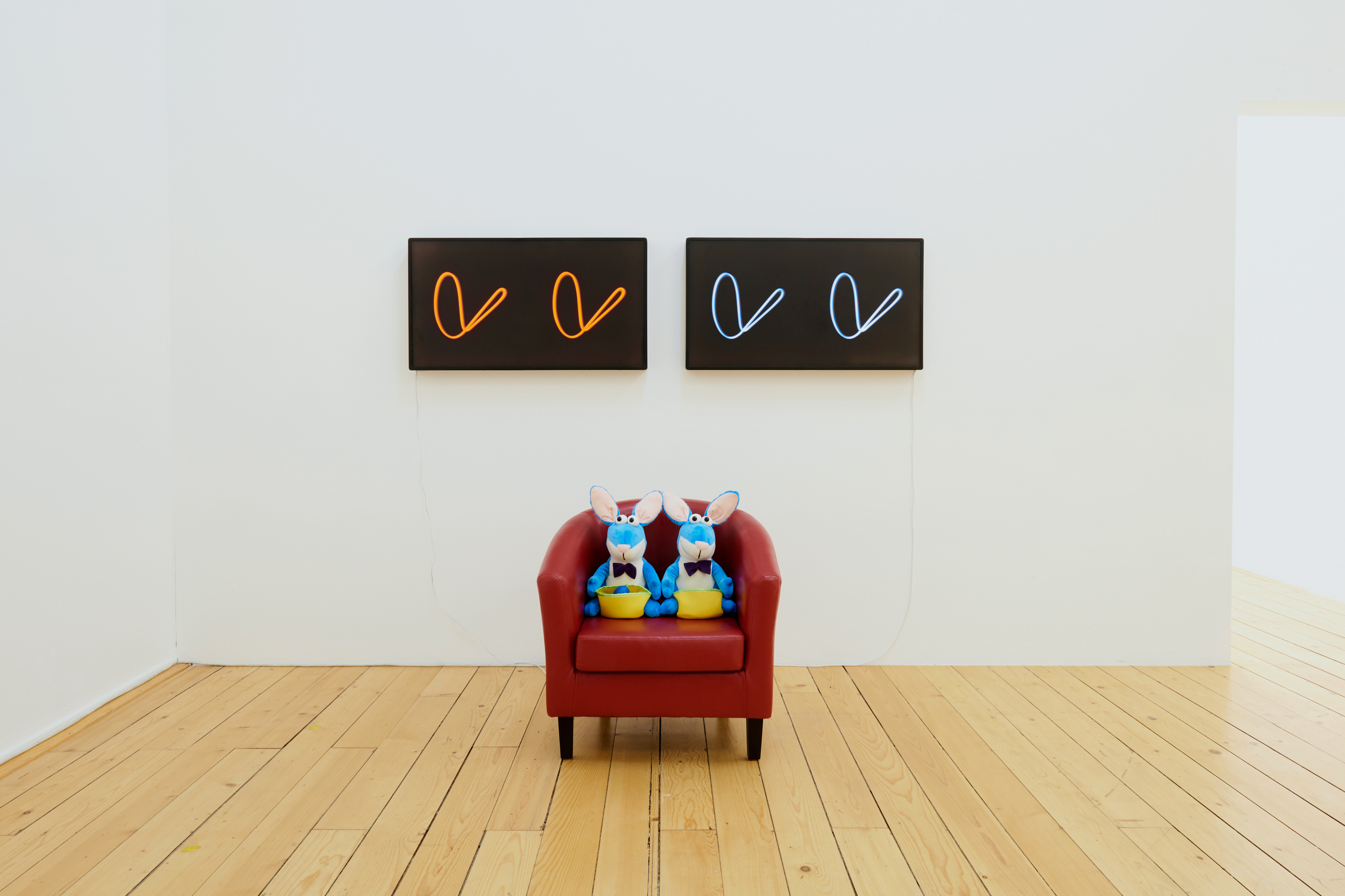 Discoteca Analitica image