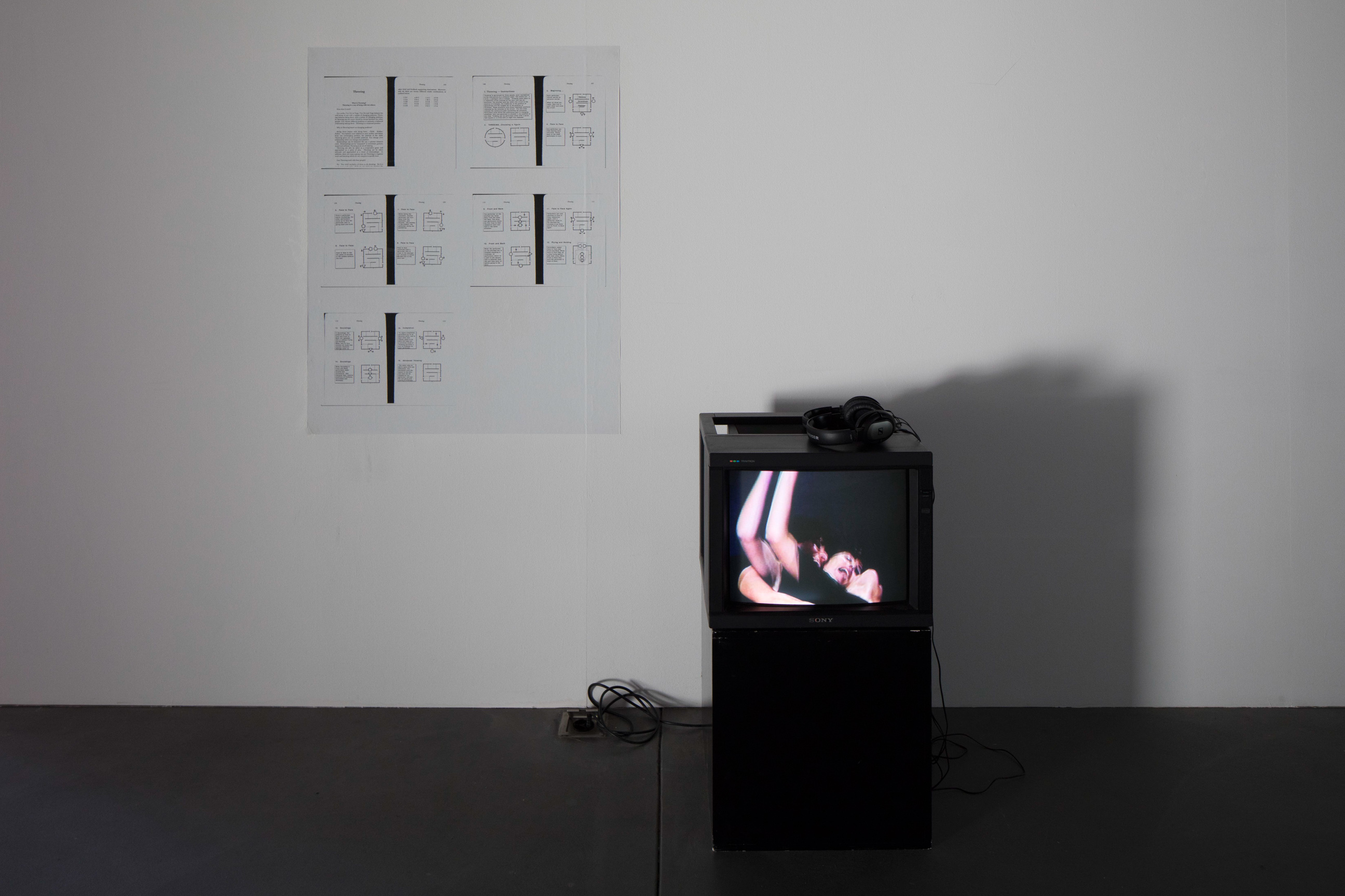 Discoteca Analitica image