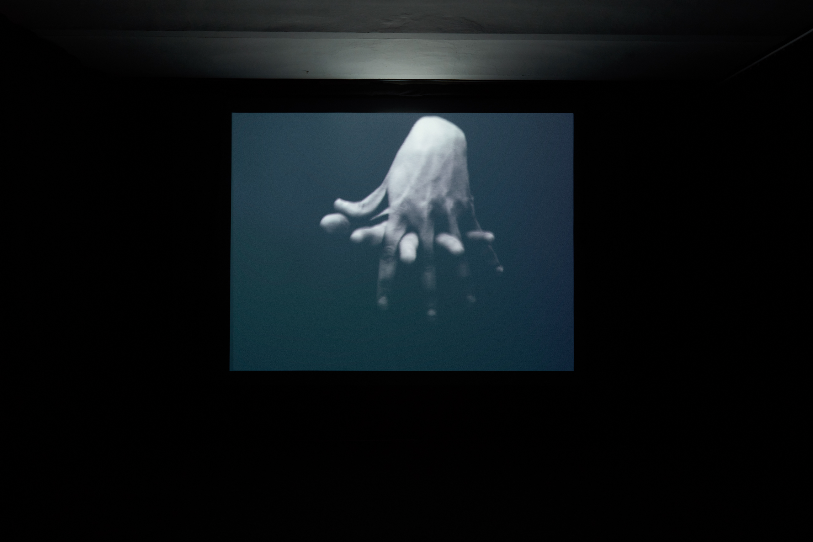 Dal momento in cui… image