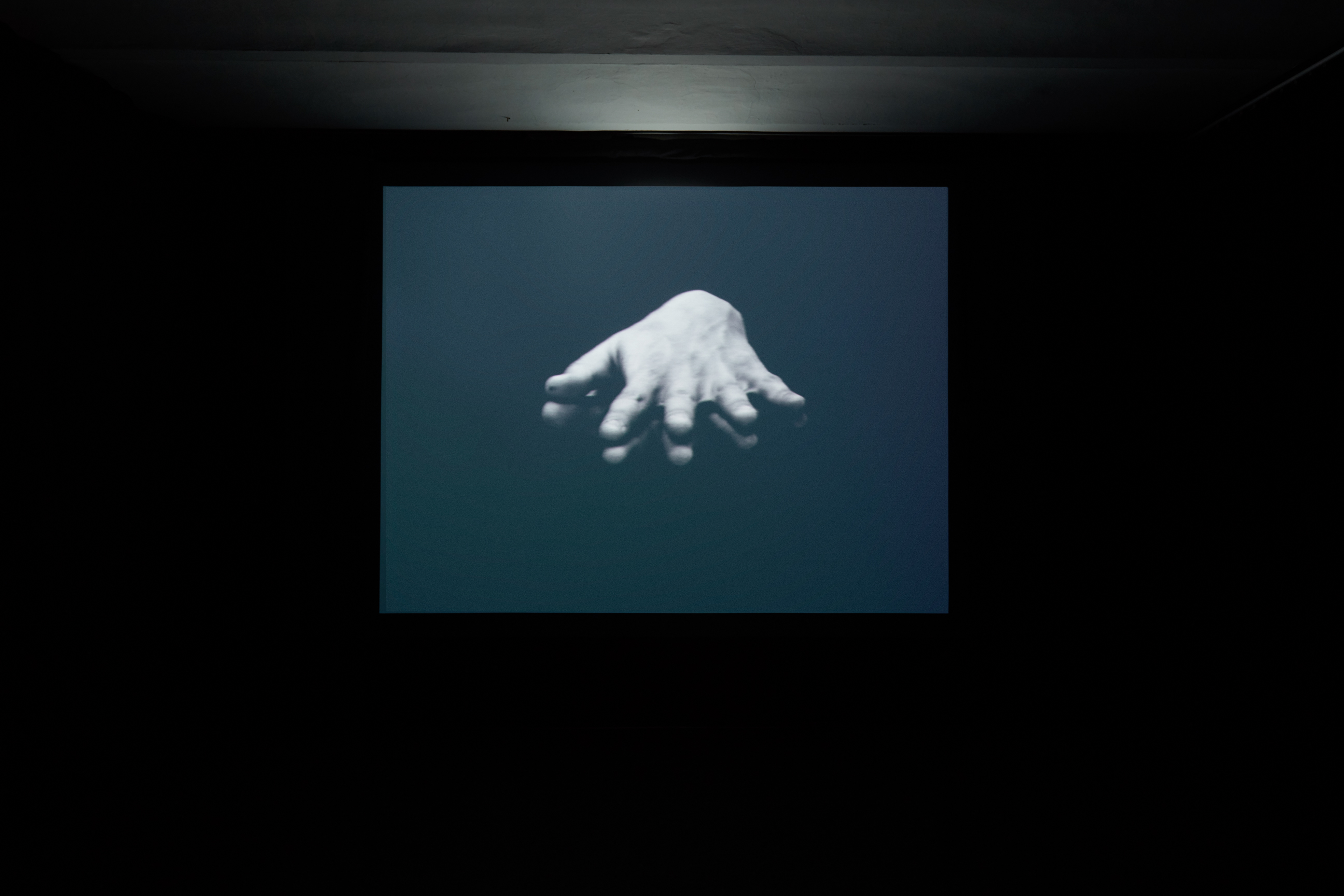 Dal momento in cui… image