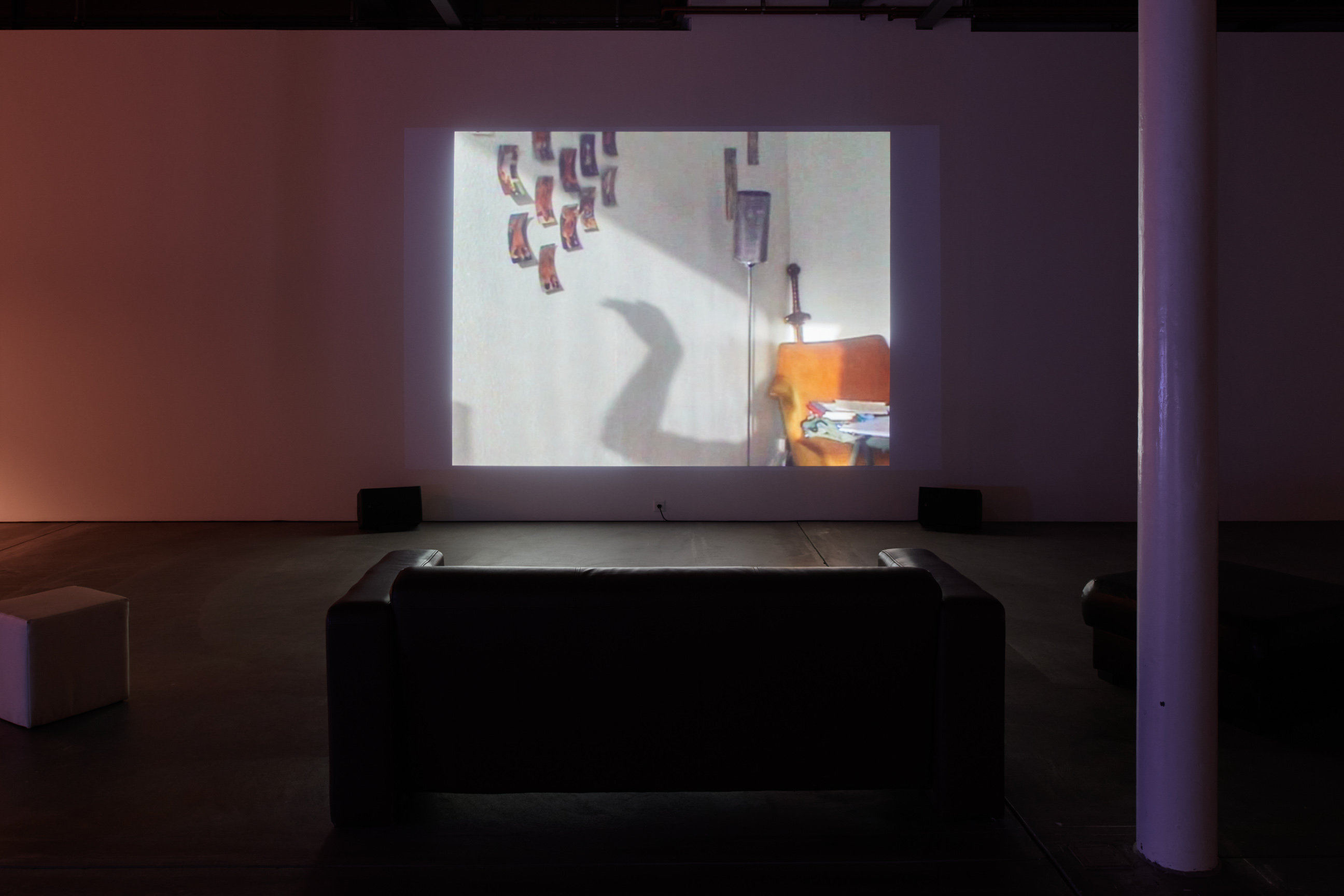 Les films de Guillaume Dustan image