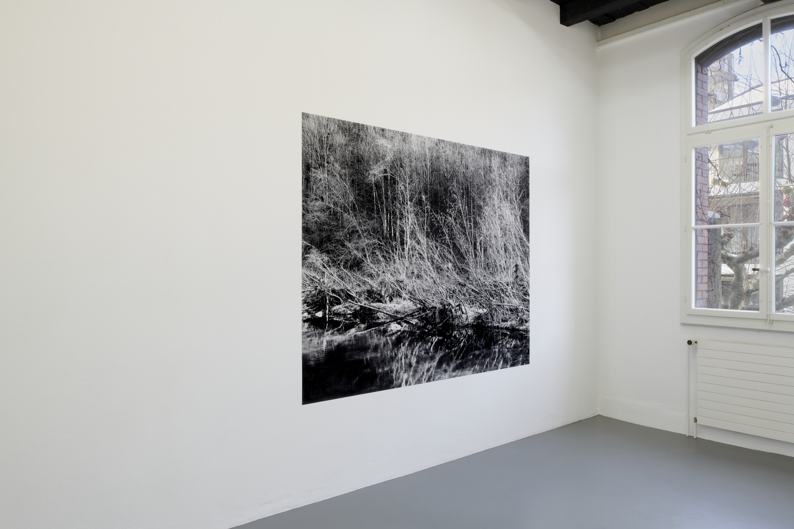 Cécile Monnier image