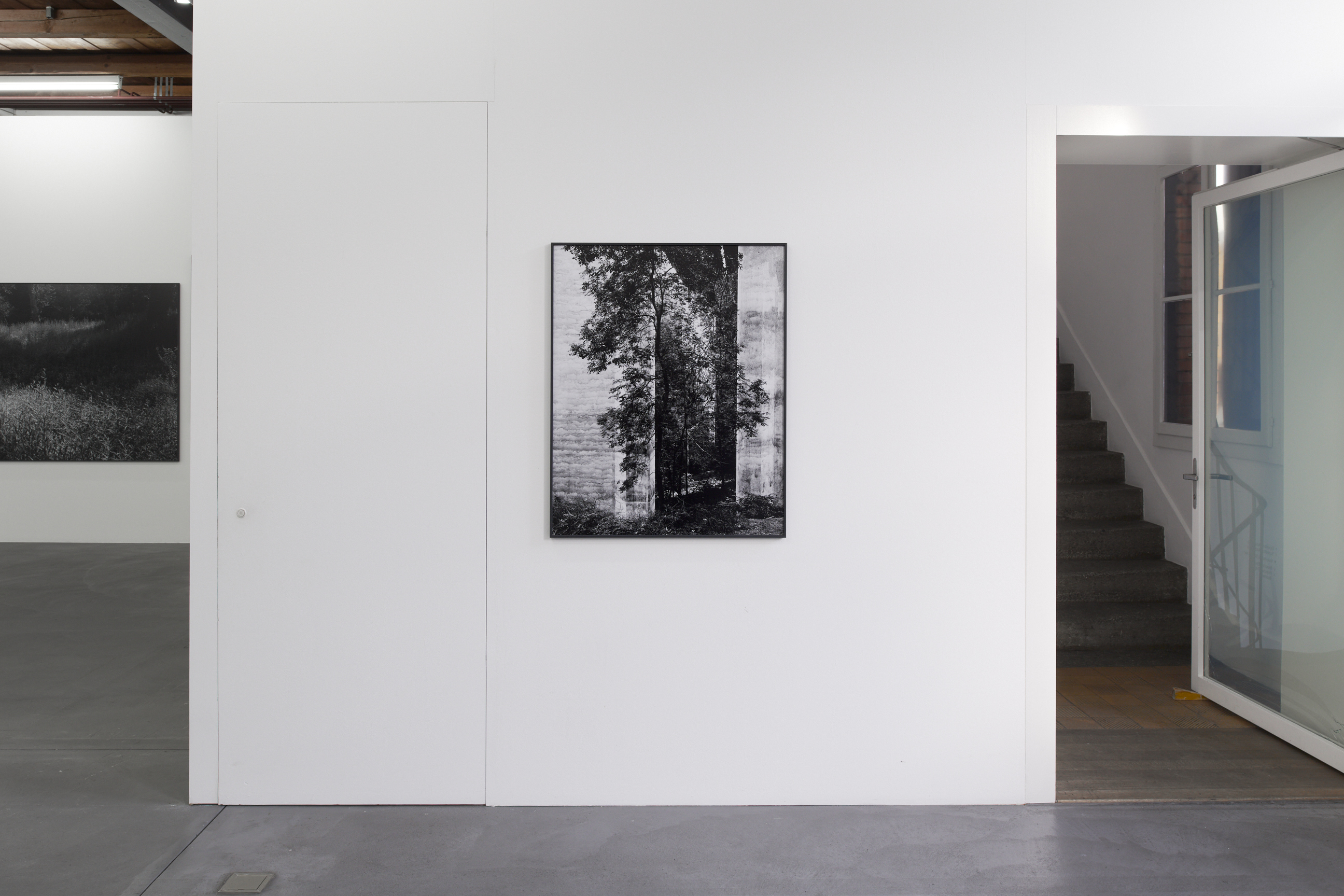 Cécile Monnier image