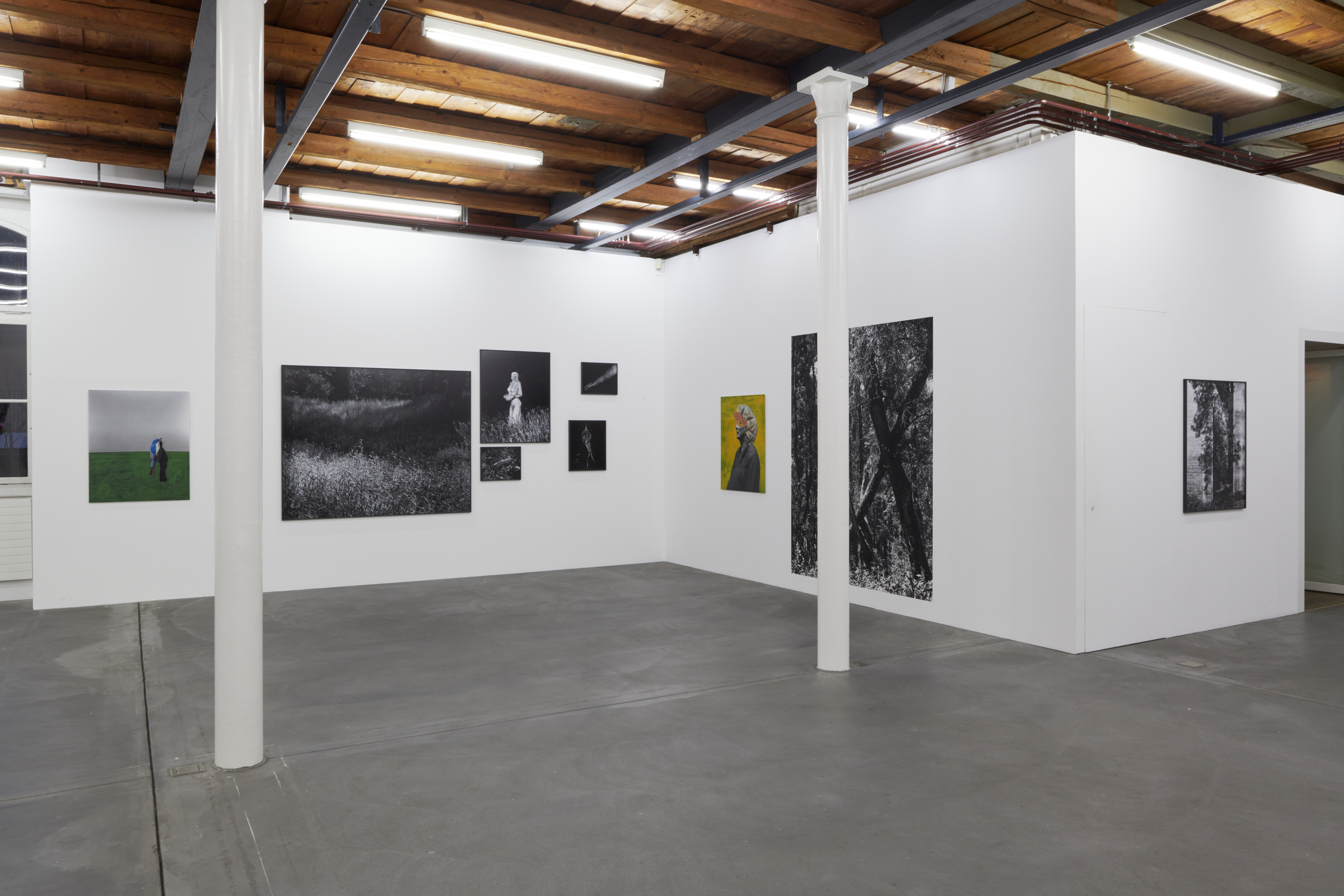 Cécile Monnier image