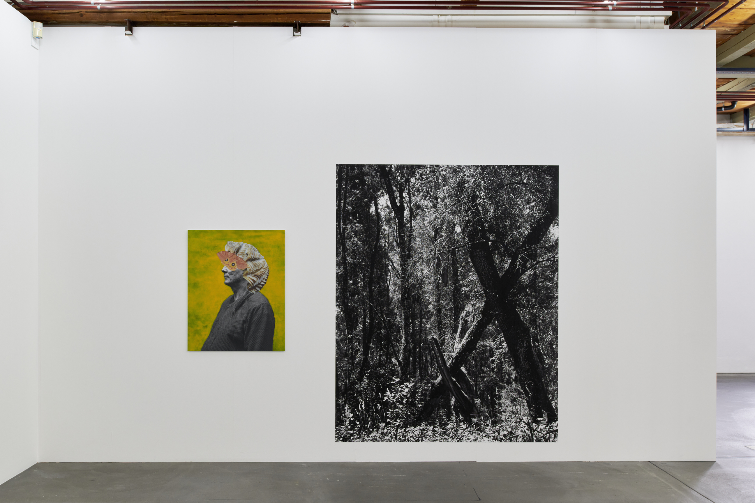 Cécile Monnier image