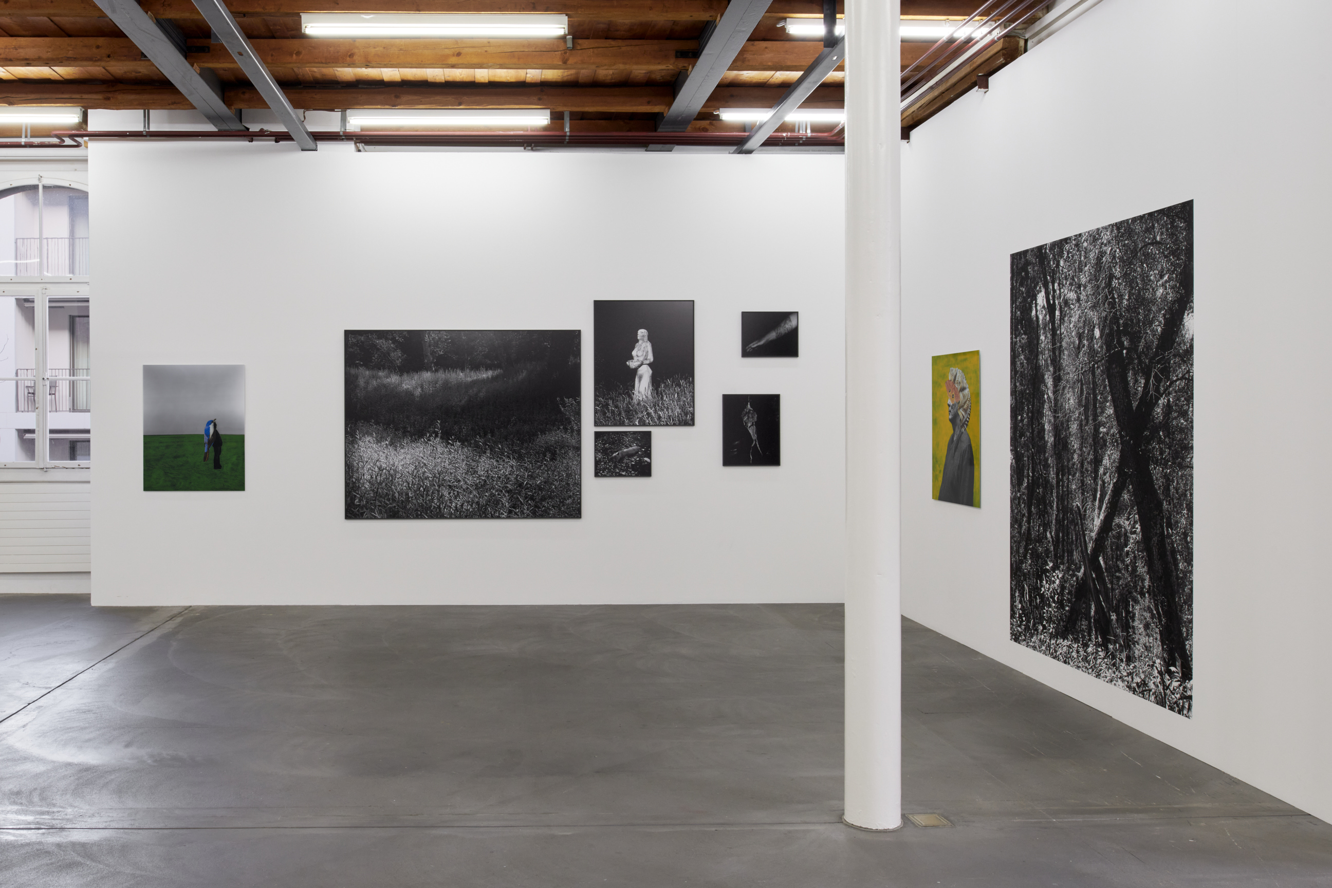 Cécile Monnier image