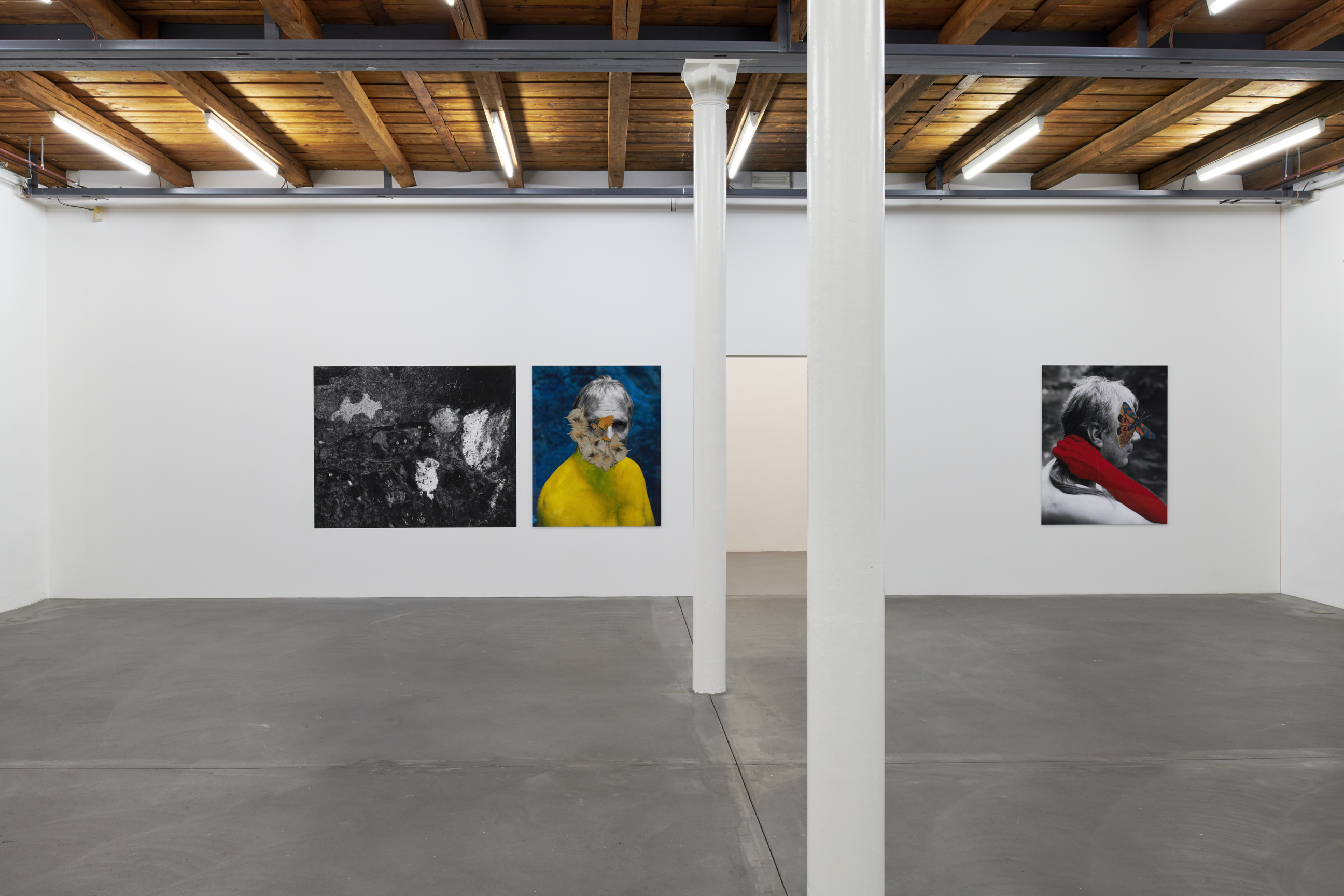 Cécile Monnier image