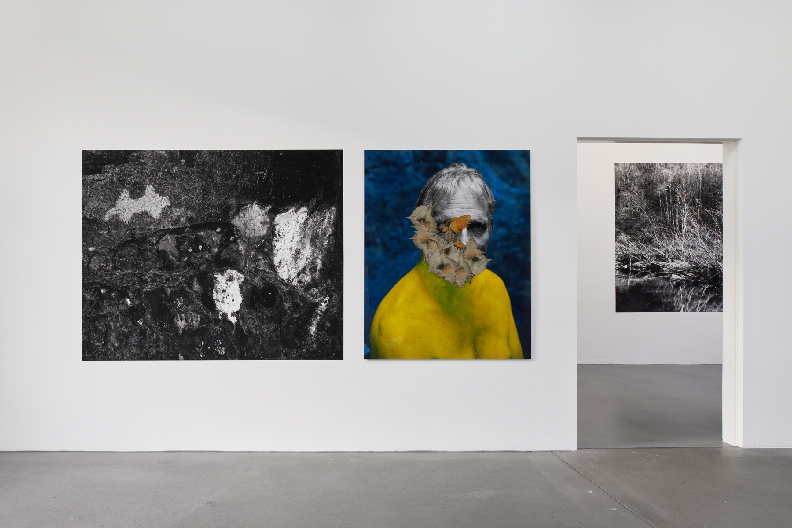 Cécile Monnier image